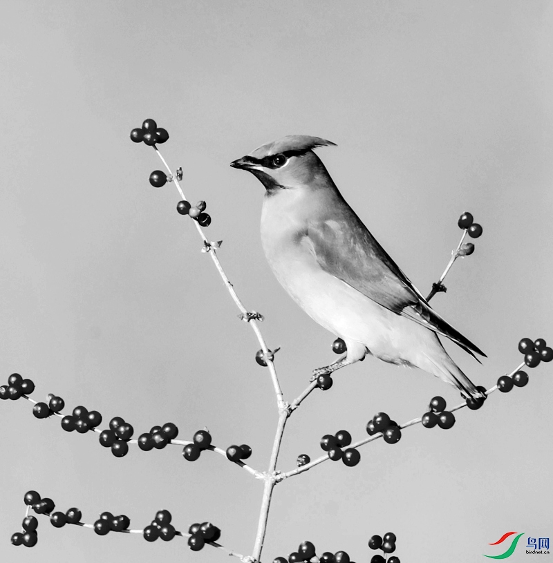 AG1I2989_����_����_����.jpg
