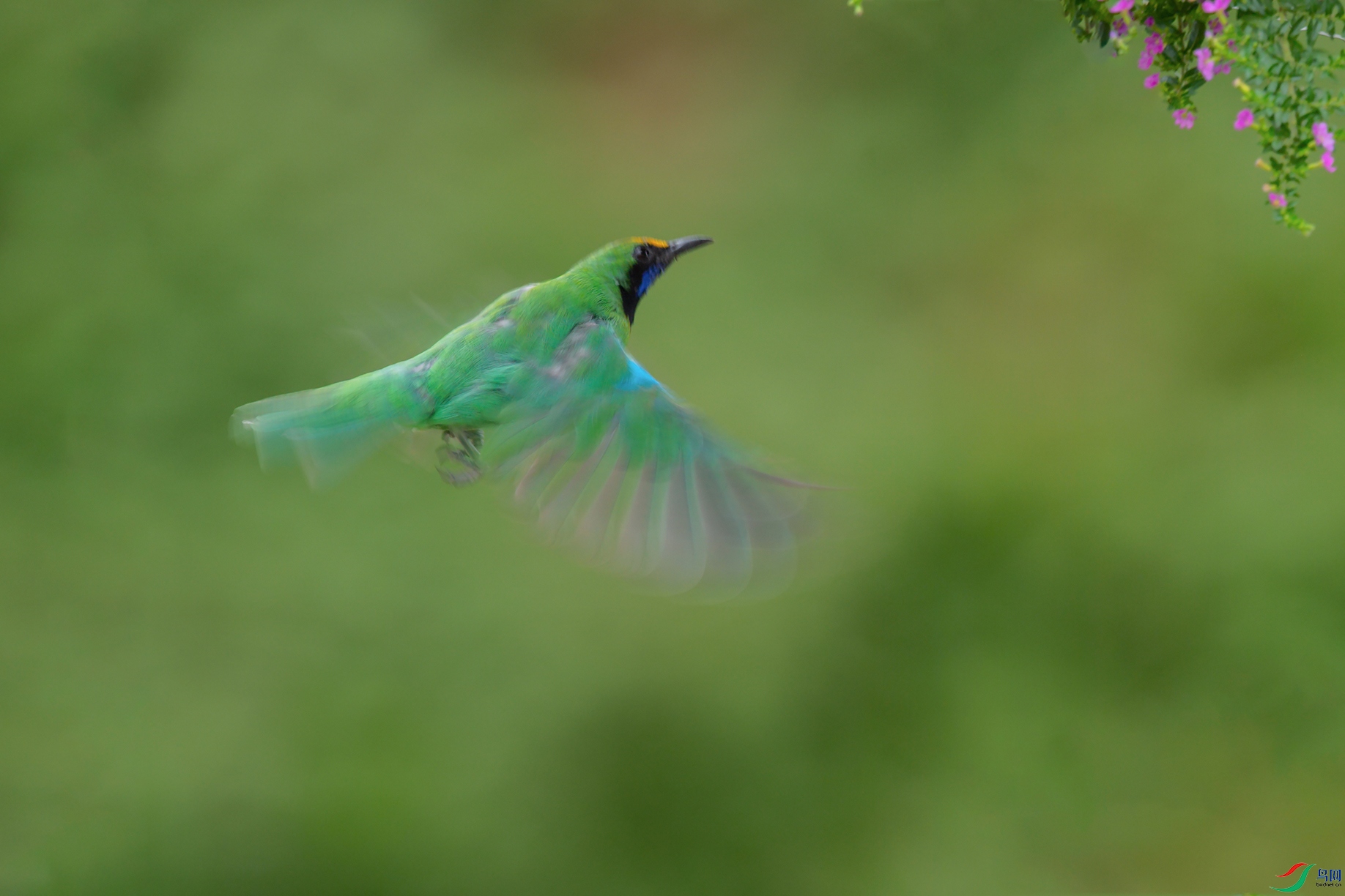 DSC_7753_DxOa.jpg