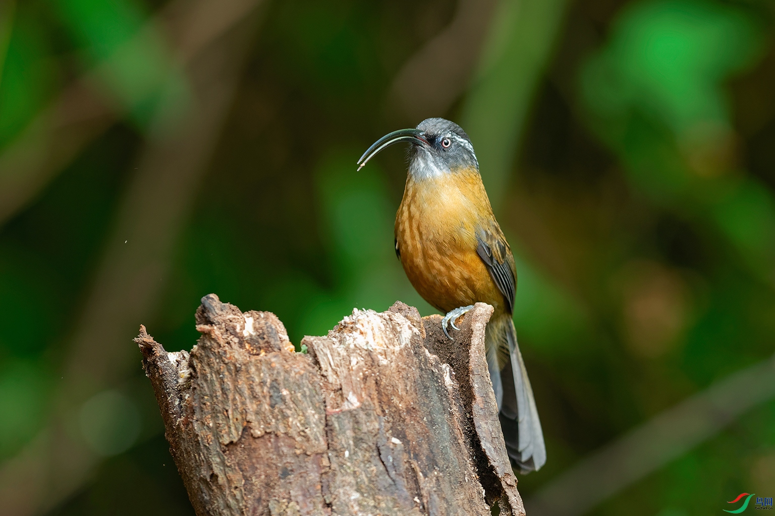 DSC_5390_DxOa.jpg