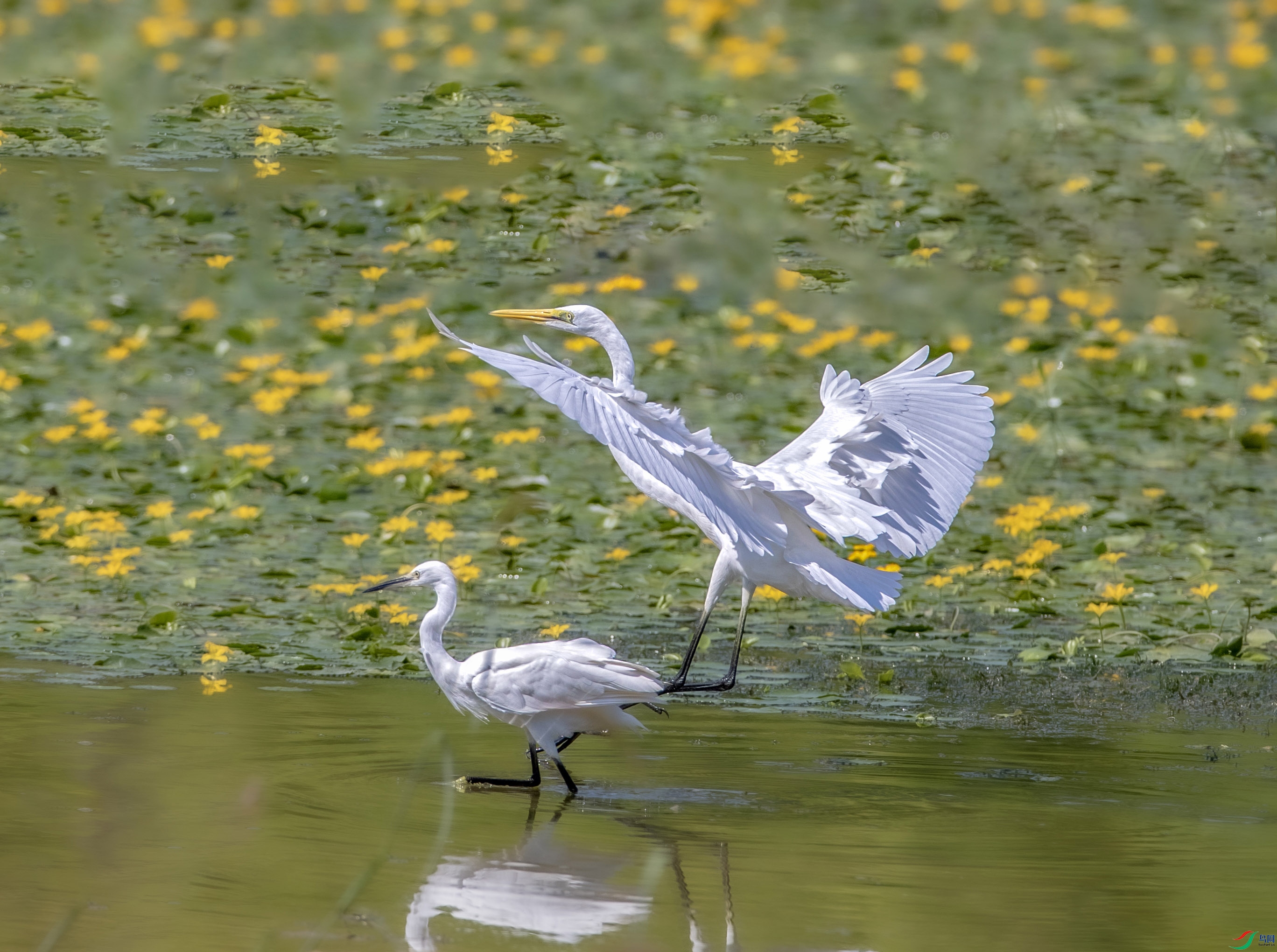 A79I3308 ����.jpg