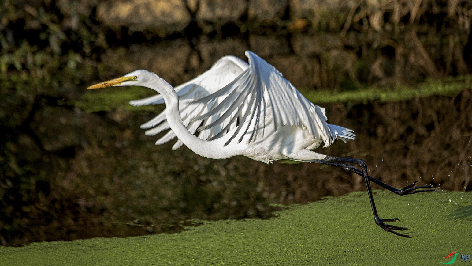 _MG_3584 ���� 2.jpg