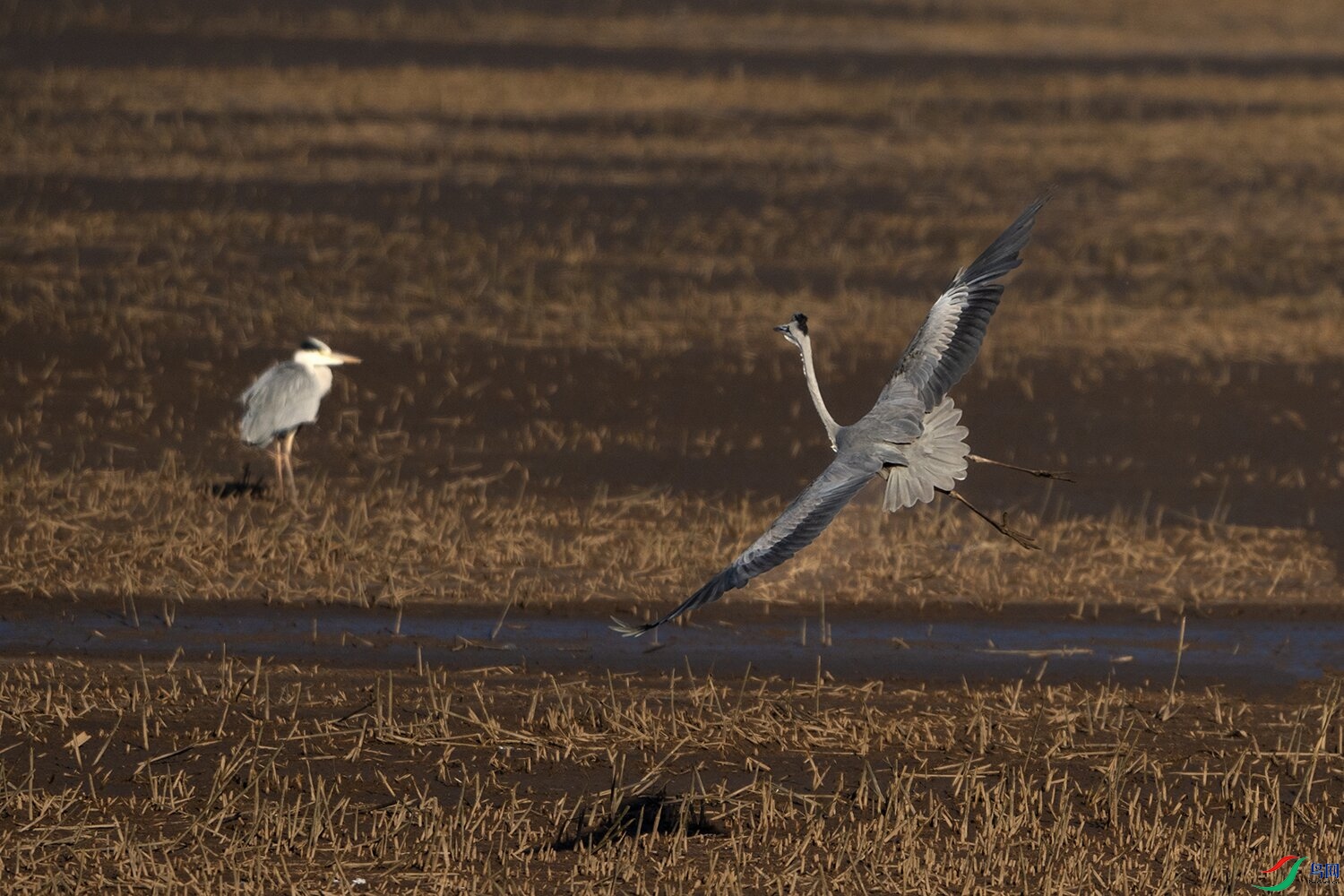 _DSC9407 ���� 2.jpg