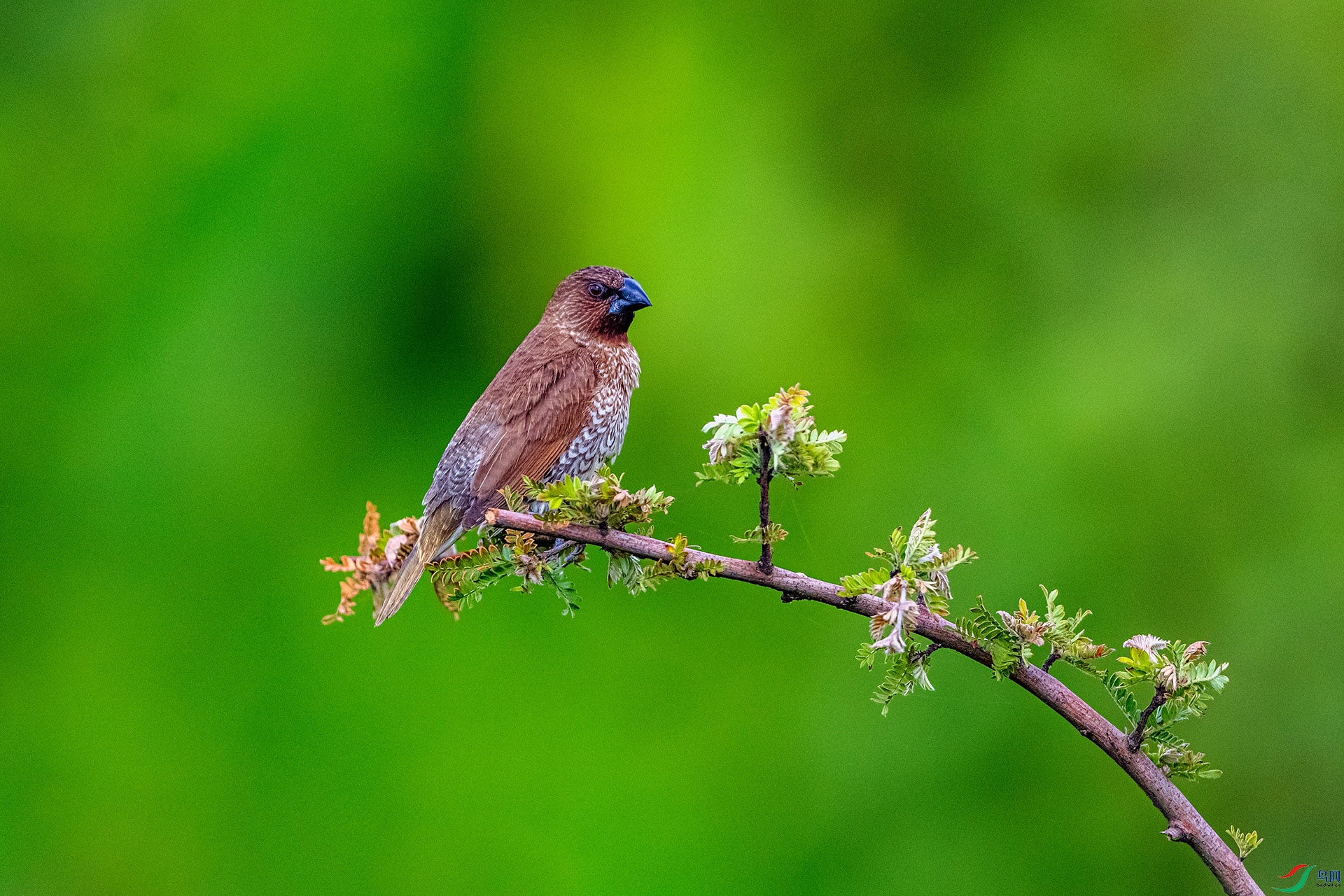 _AUU6109 ������(25.7.7).jpg