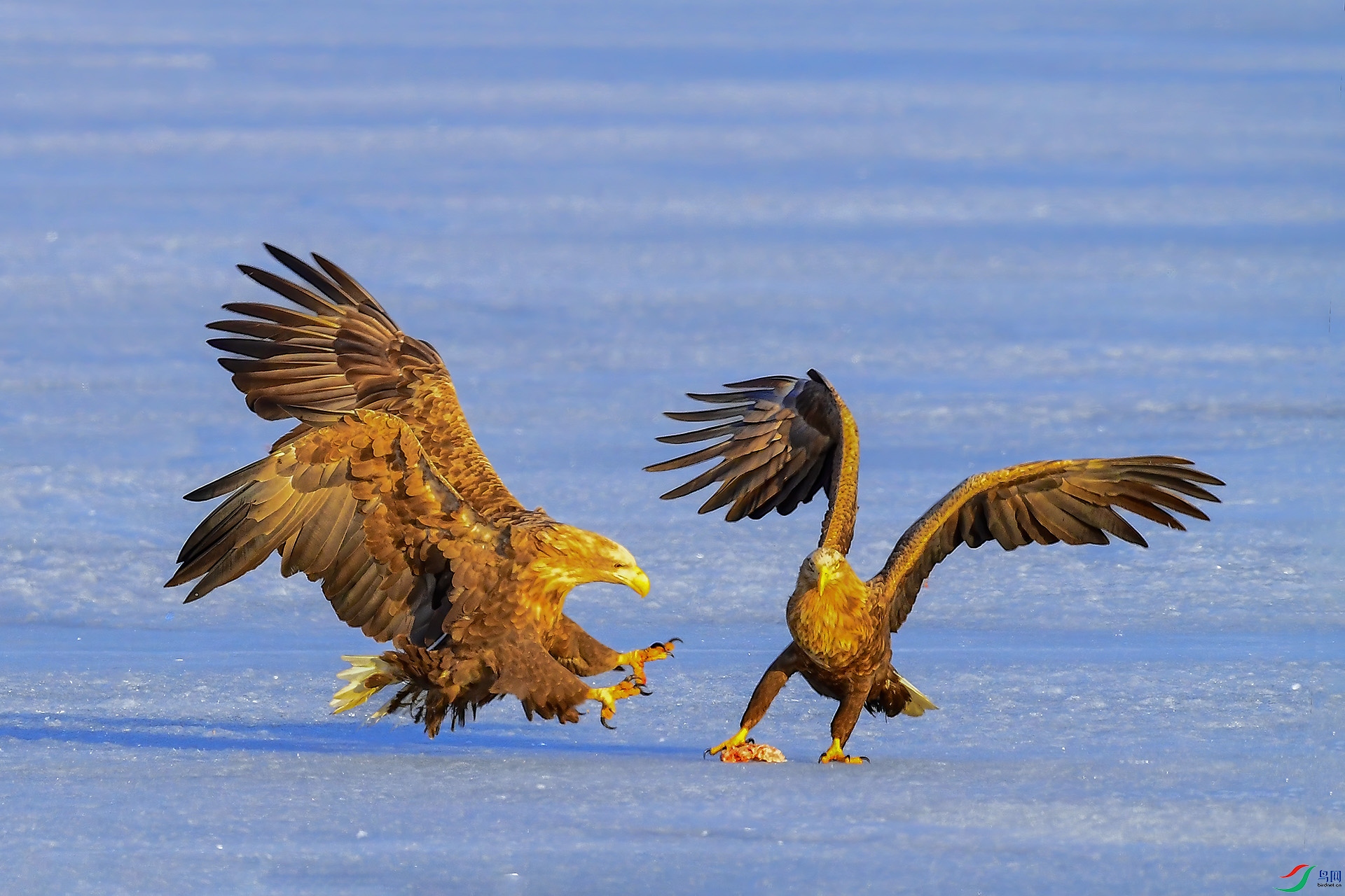 DSC_5713 -1.jpg