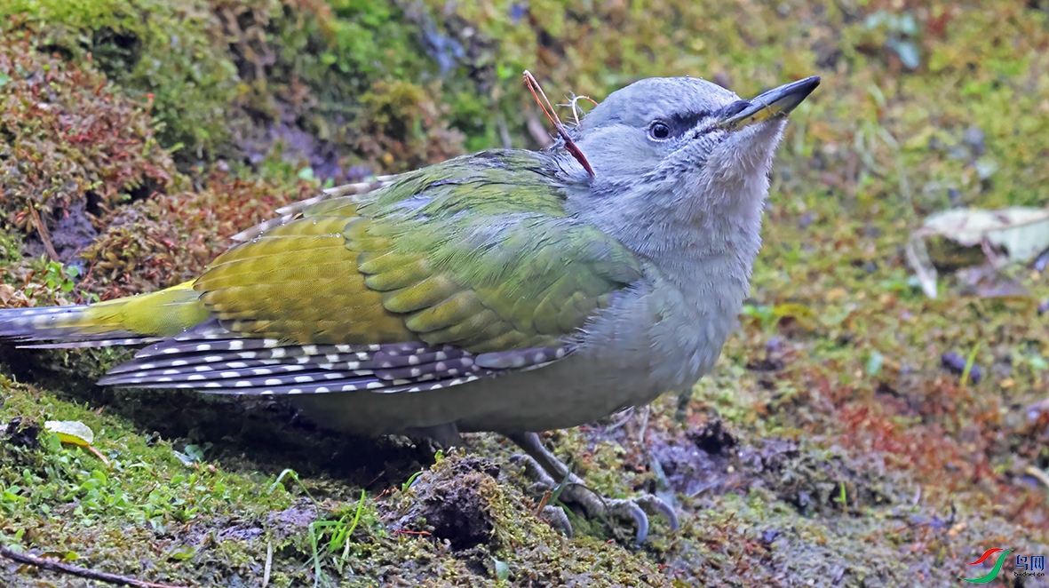 3U2A6682 ���� 2.jpg