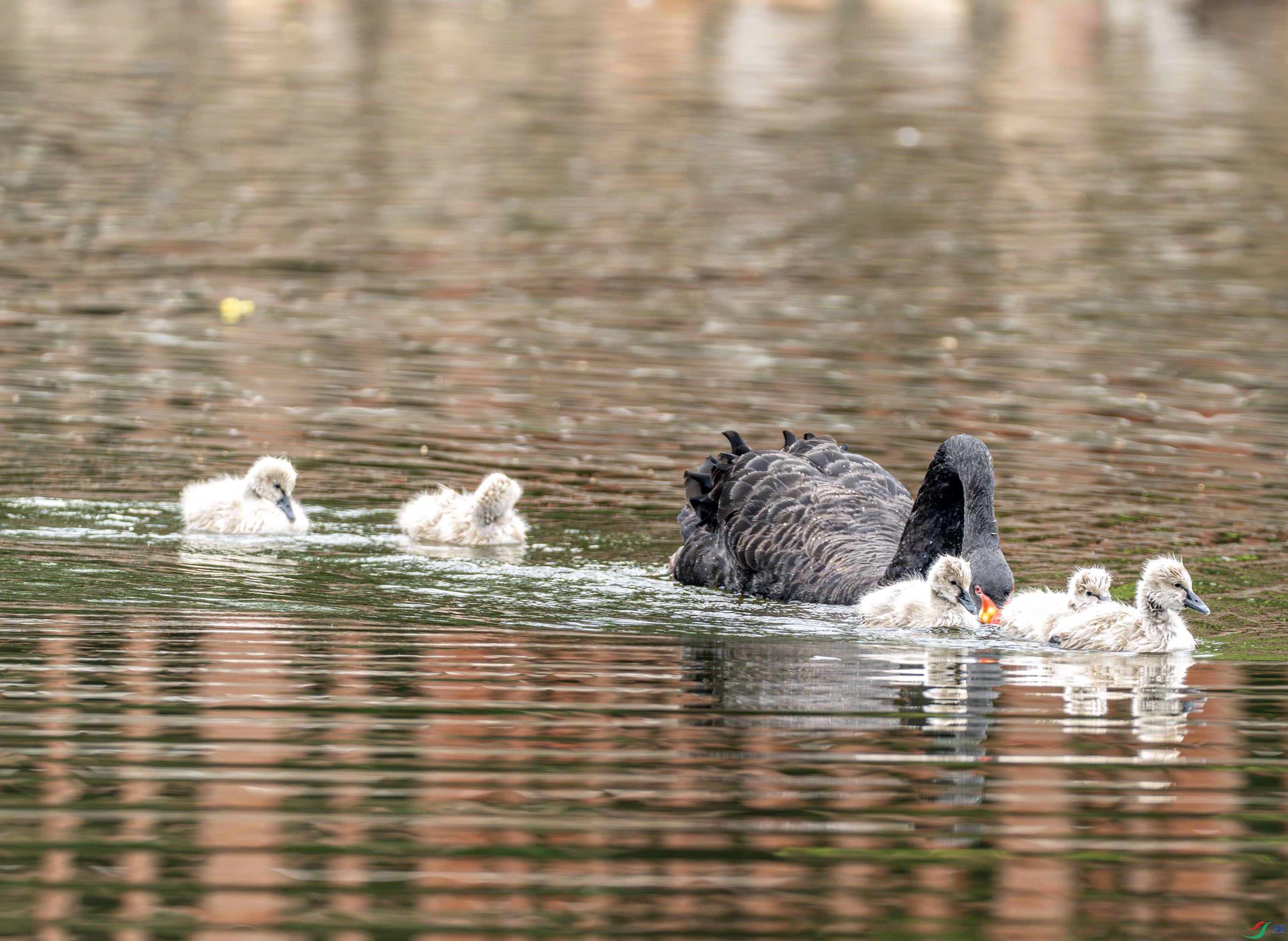 ����� 03-7.jpg