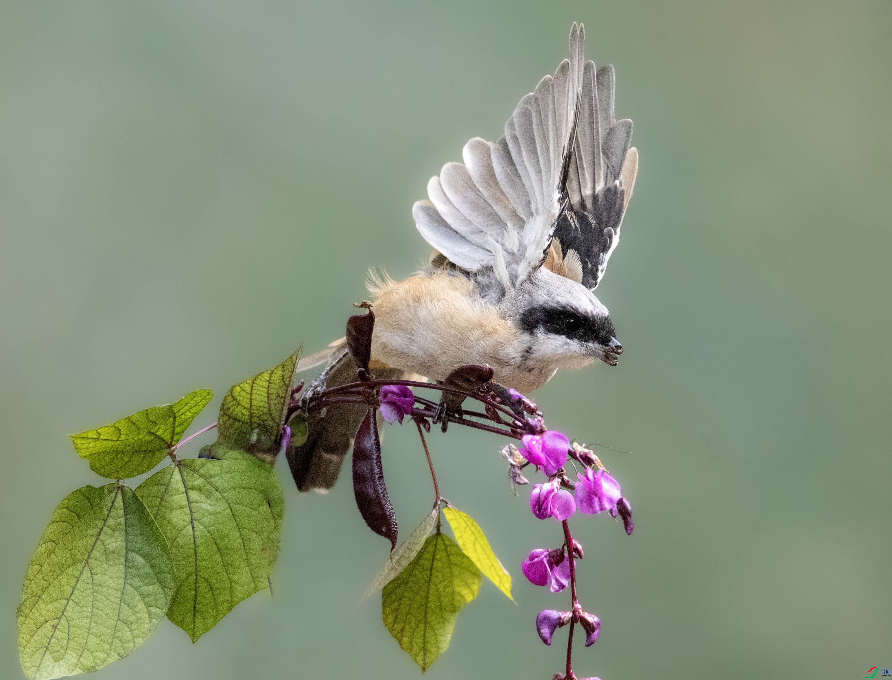 A79I6072 ����.jpg