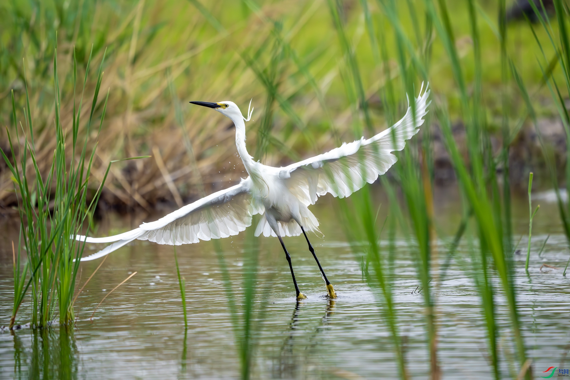 DSC03556-����ǿ-NR ����.jpg