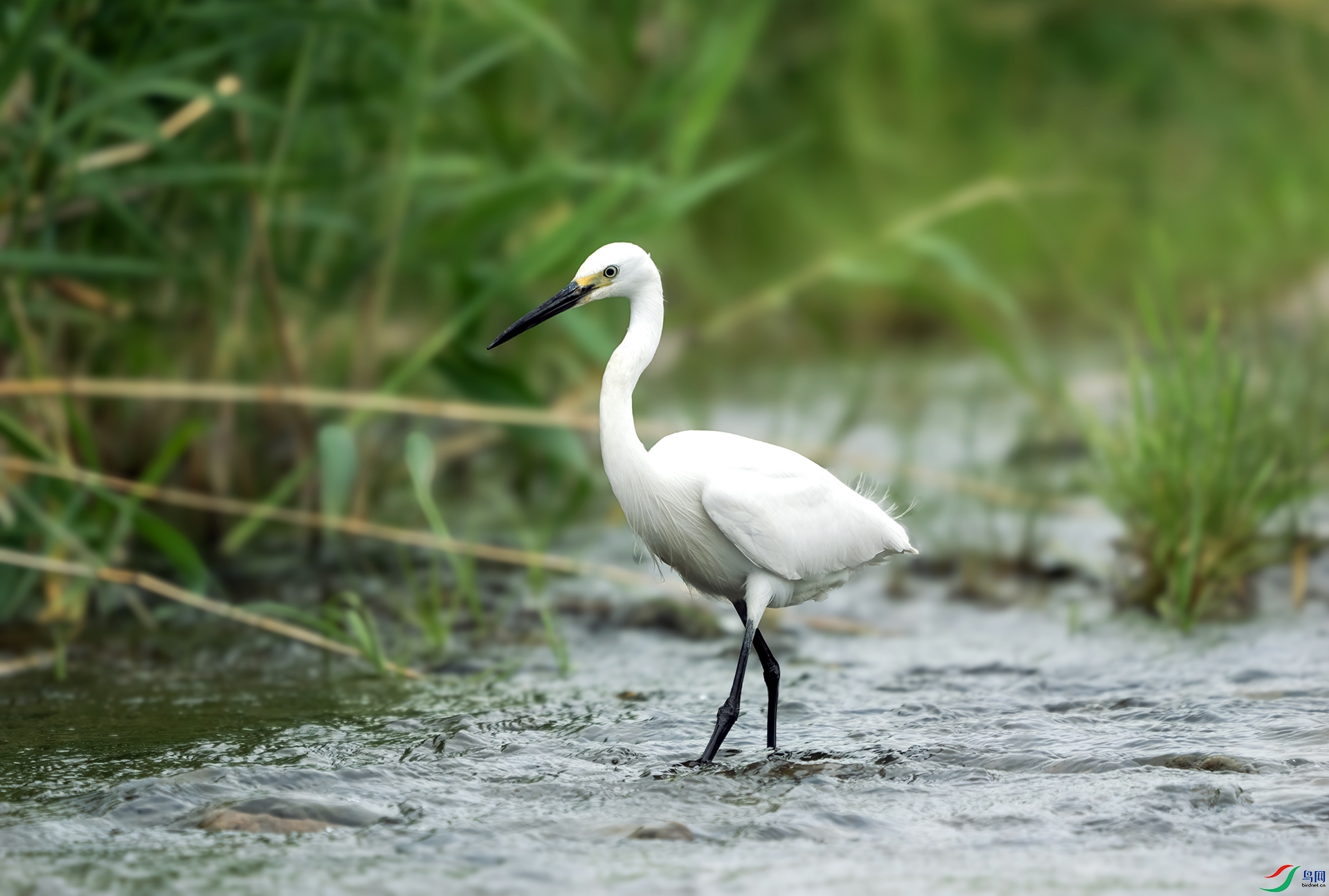 DSC03946 ����.jpg