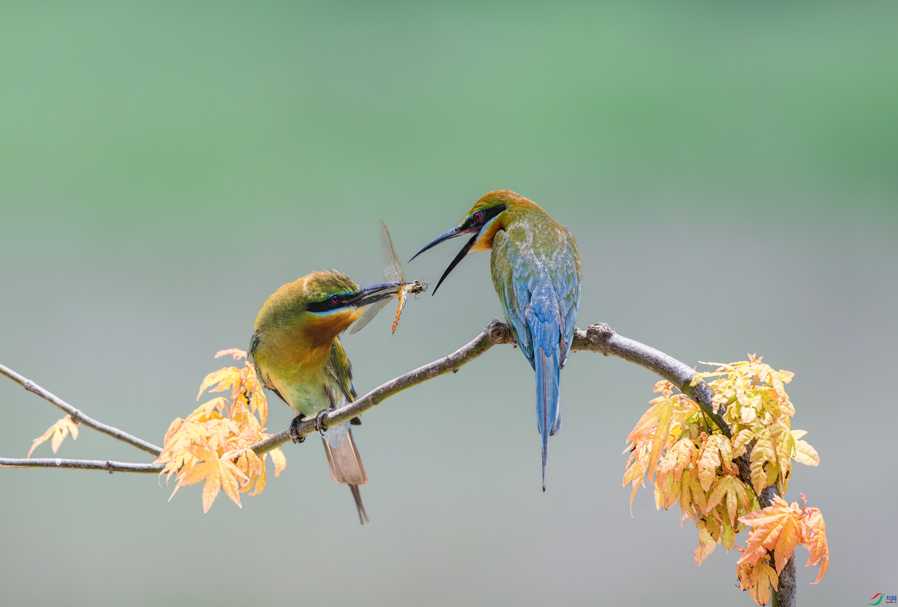 DSC_7391.jpg
