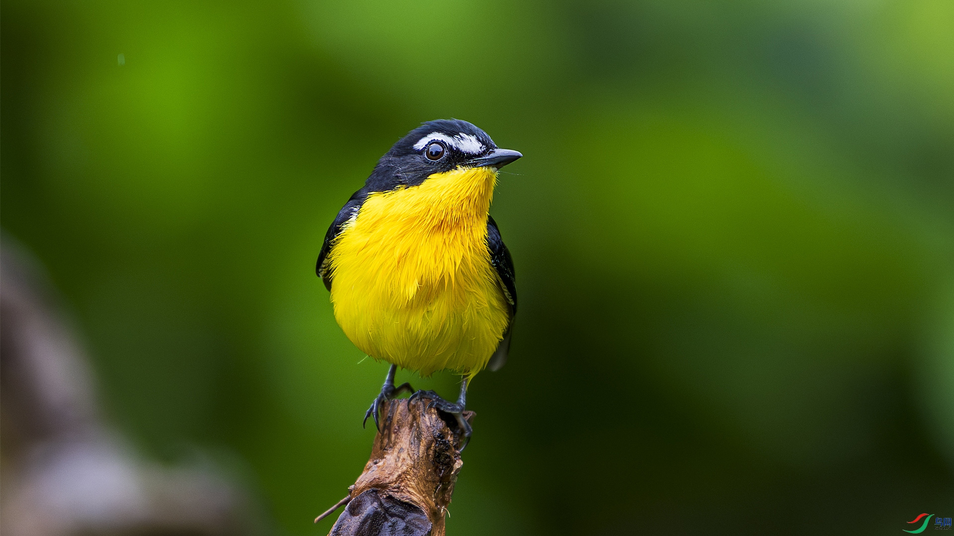 _DSC2567 ���� 2.jpg