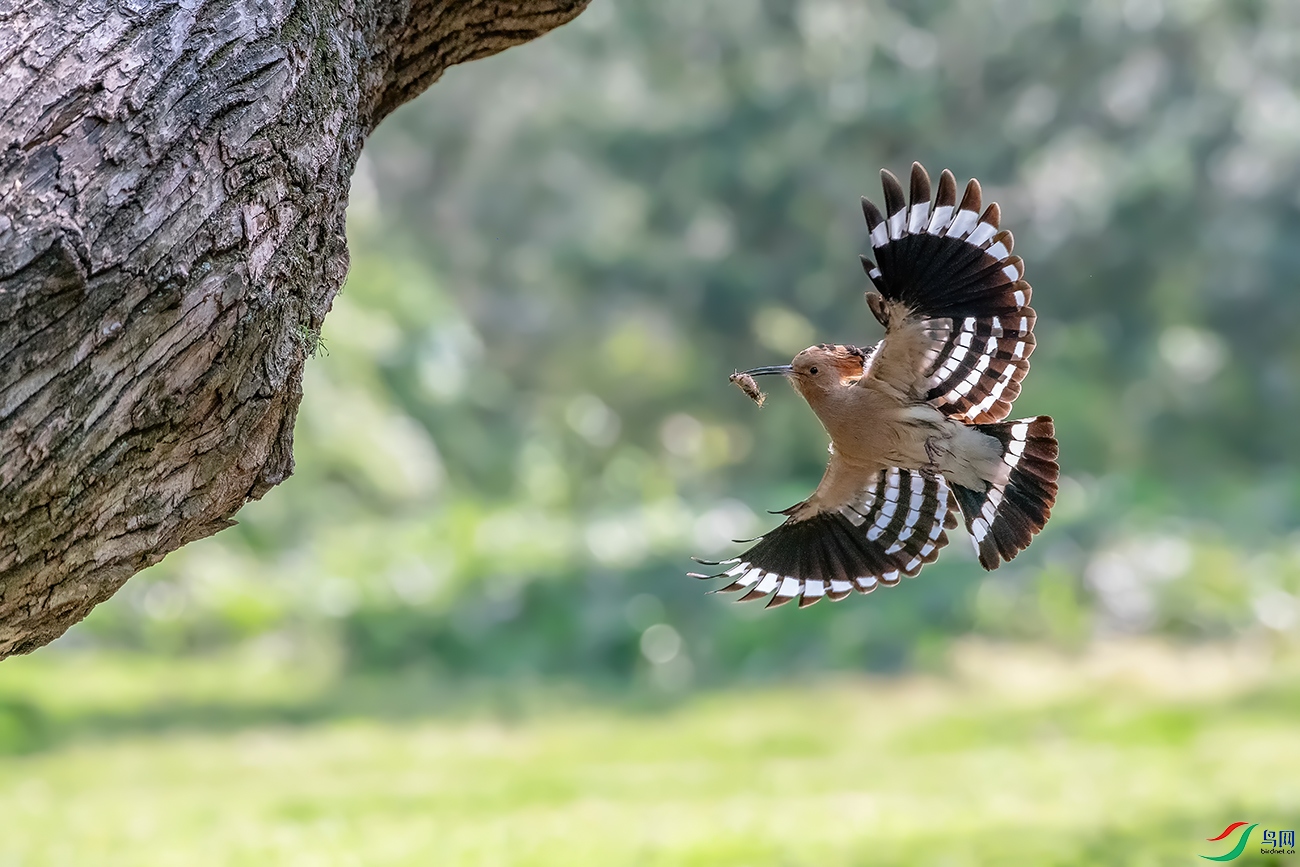 DSC_7876A.jpg