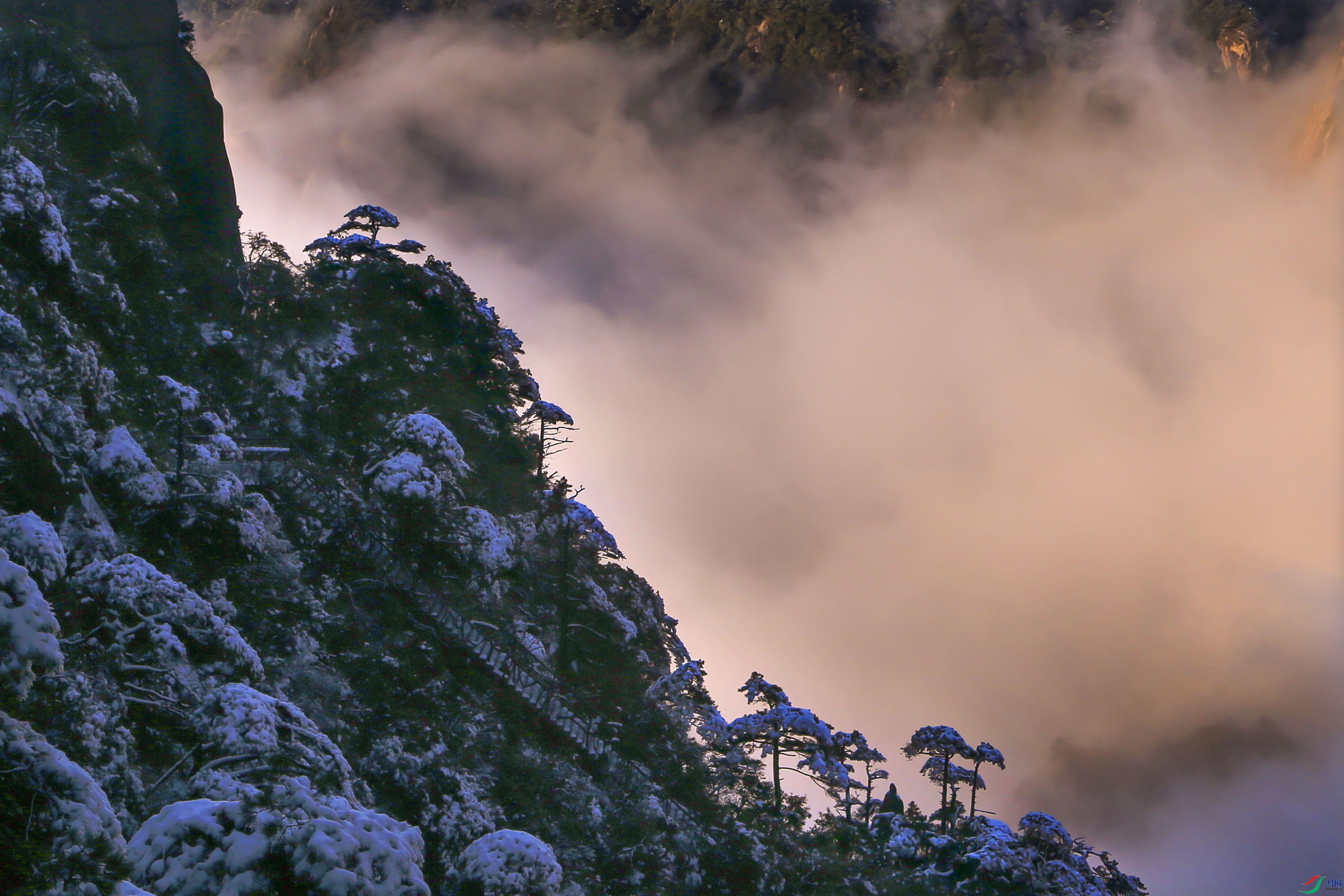 _L4V0507-------11  .jpg