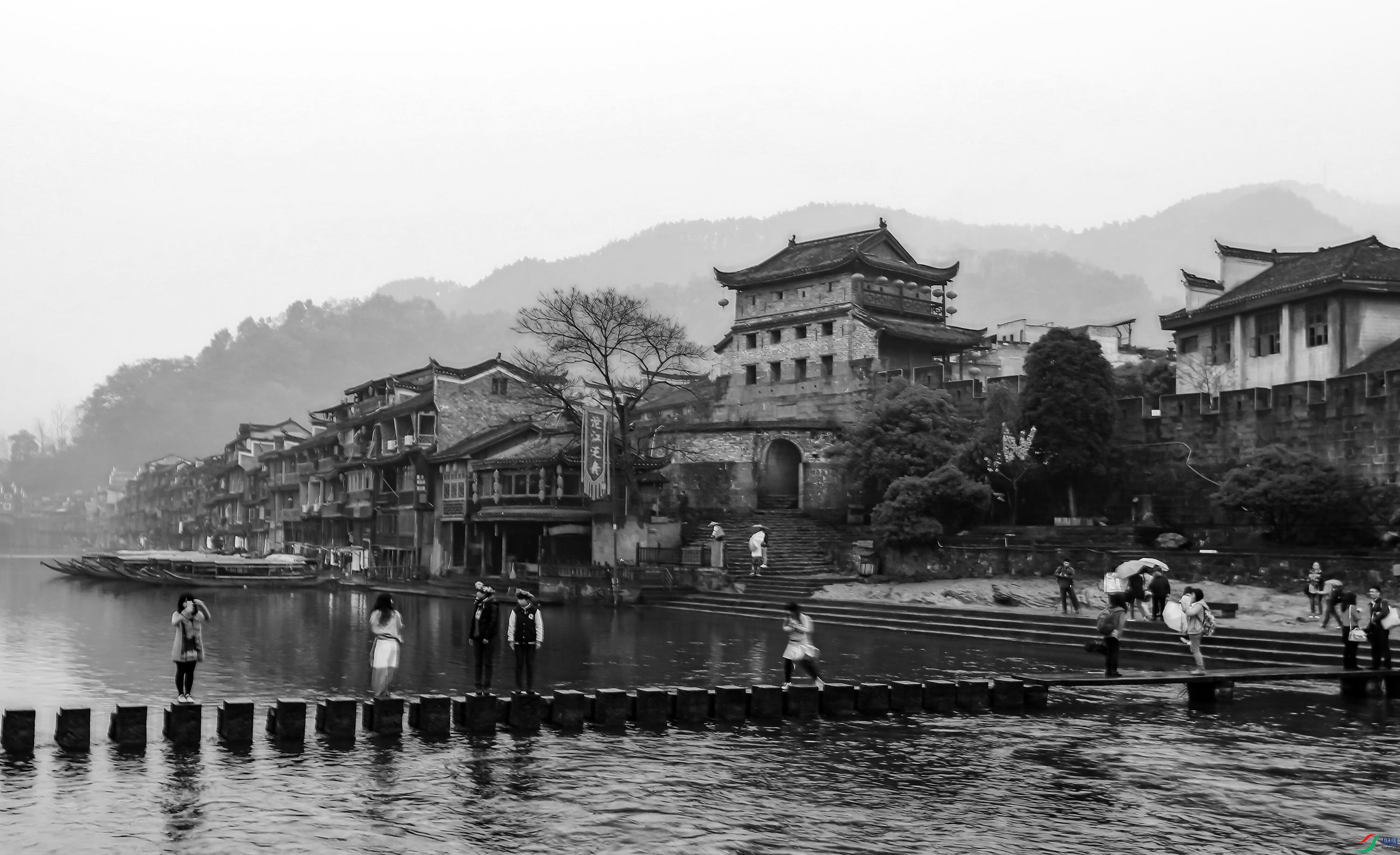 0U5A5462--1 .jpg