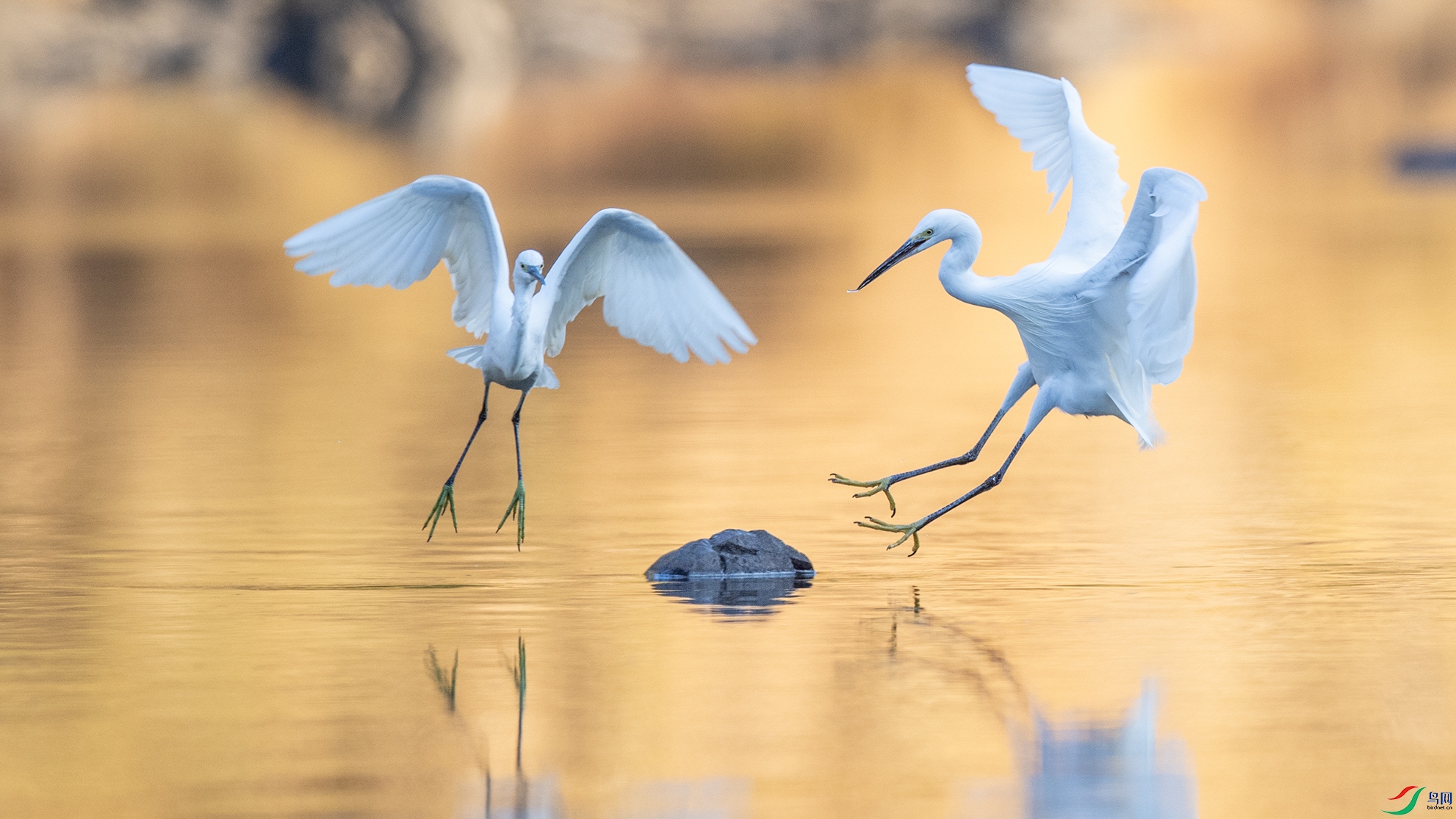 _DSC5738 ����.jpg