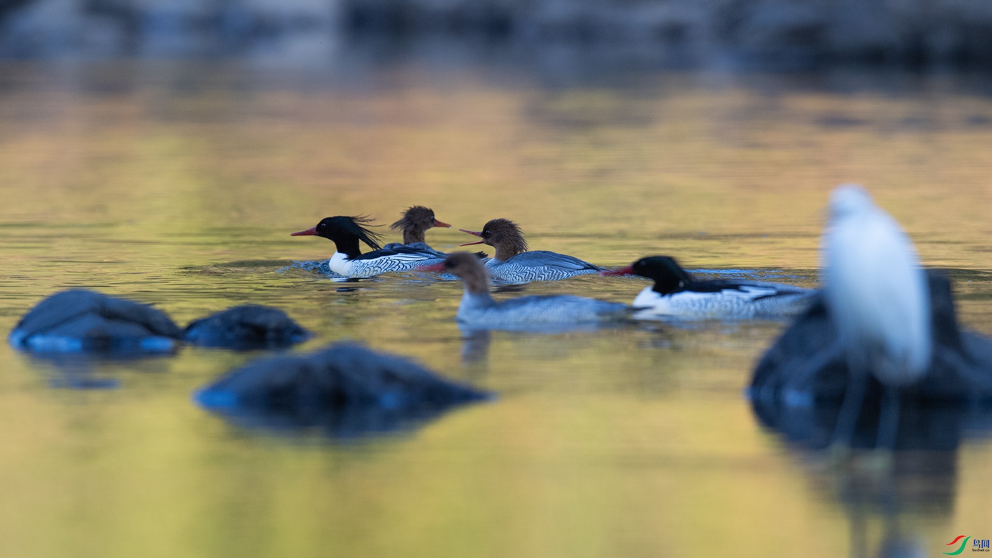 _DSC5874 ����.jpg