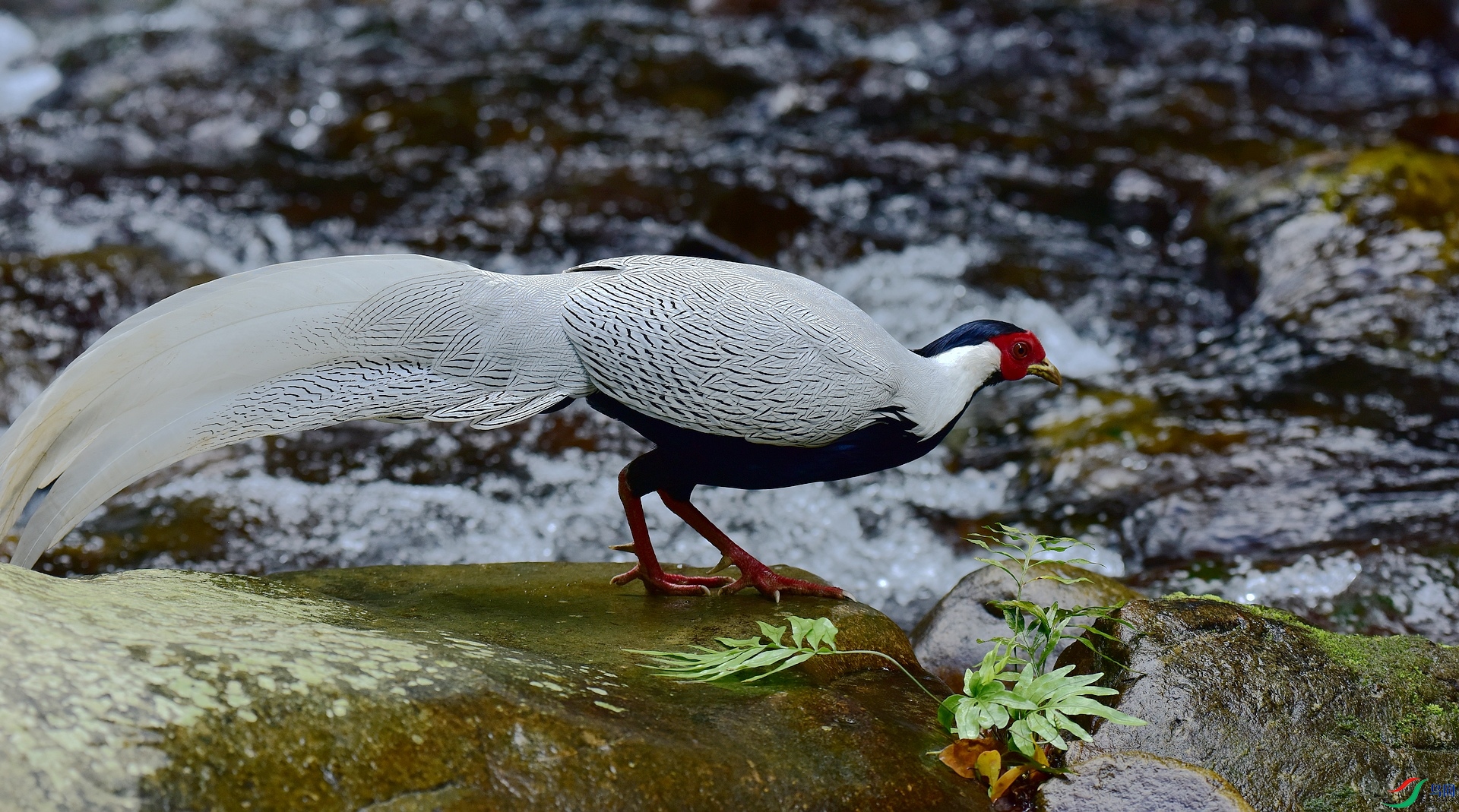 D8I_6361.jpg