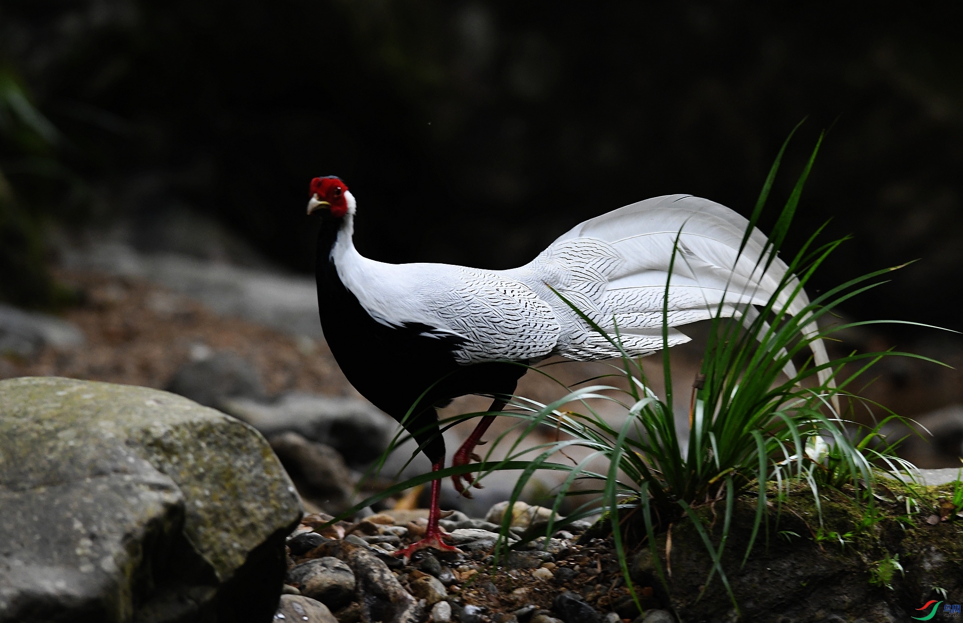 DSC_5212.jpg