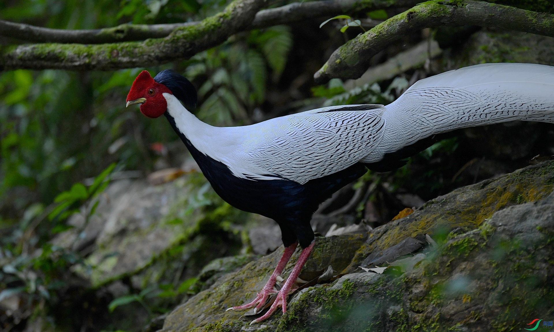 DSC_8794.jpg