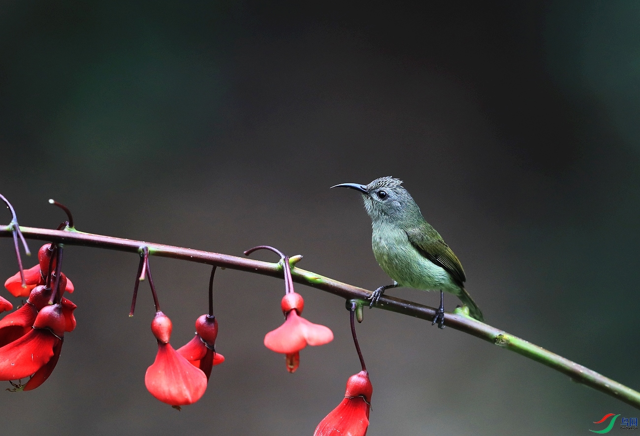 ���� AI0I4241̫����.JPG