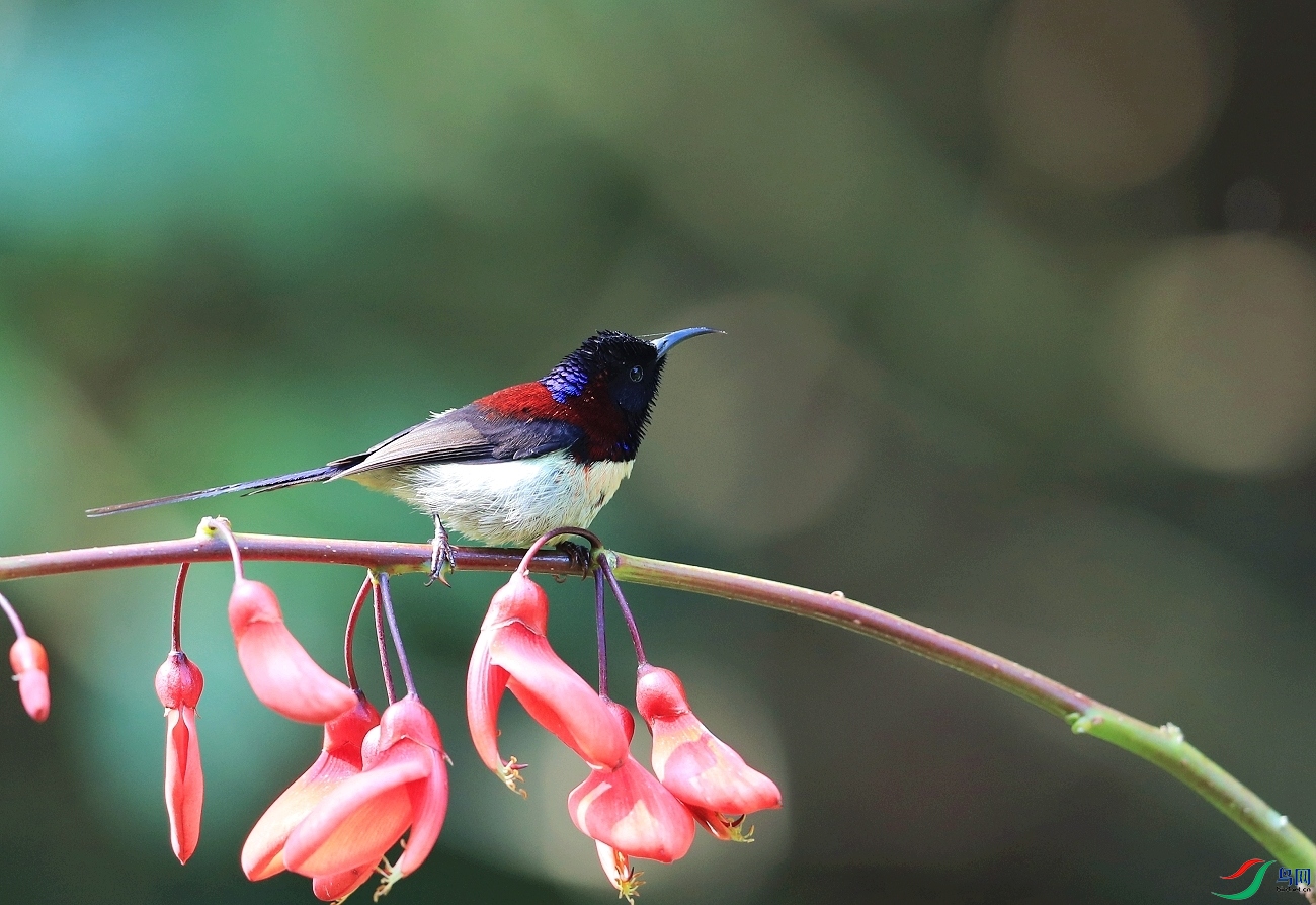 ���� AI0I3607̫����.JPG