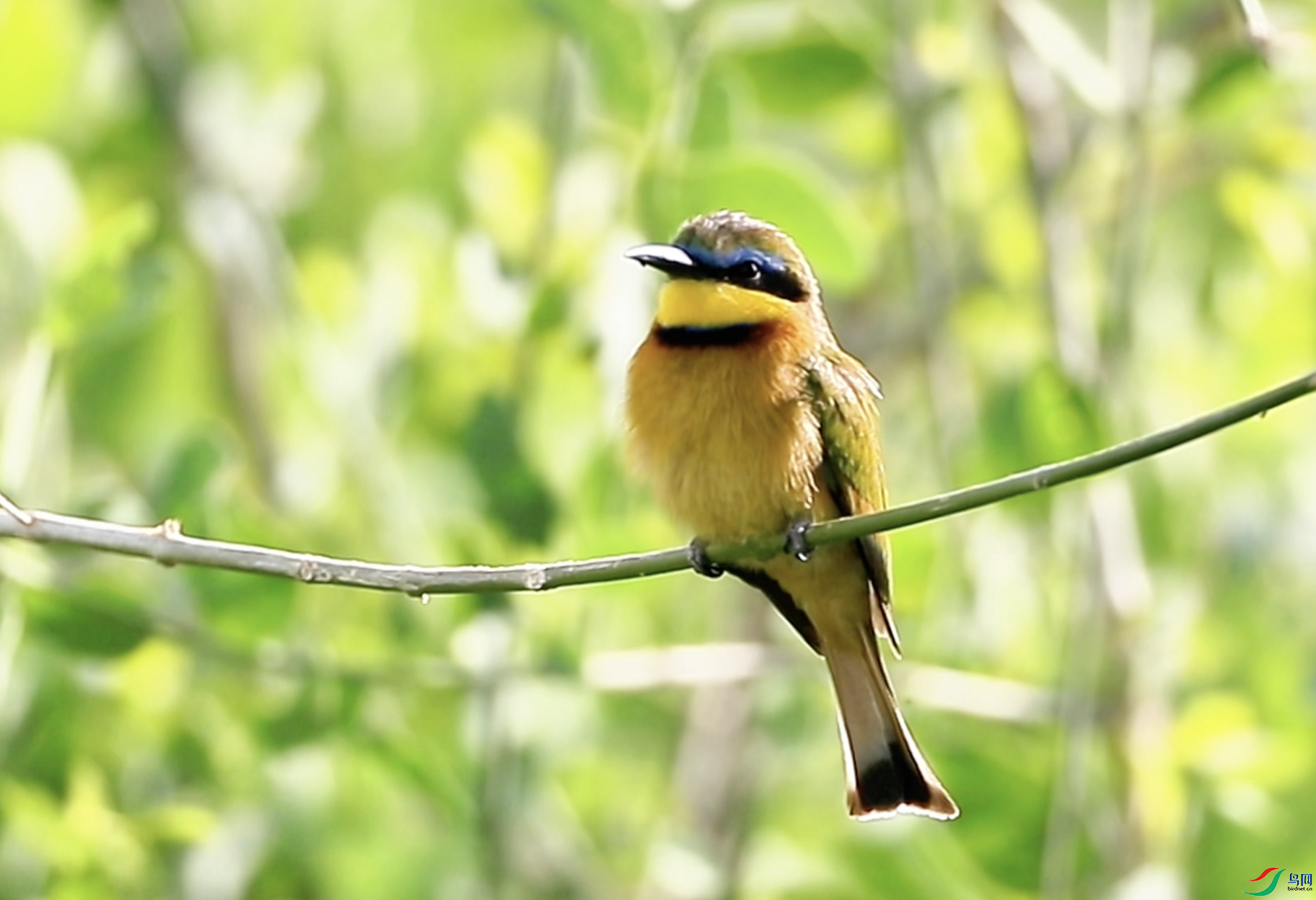 ����2025-11-08 12.08.14.png