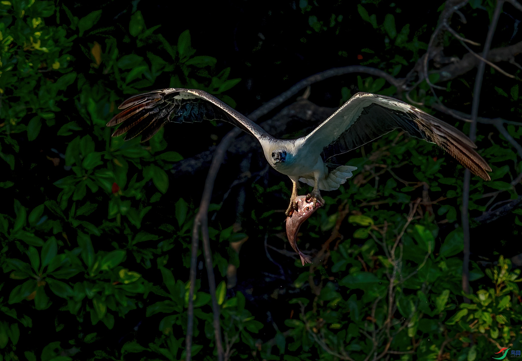 _DSC7298-1.jpg