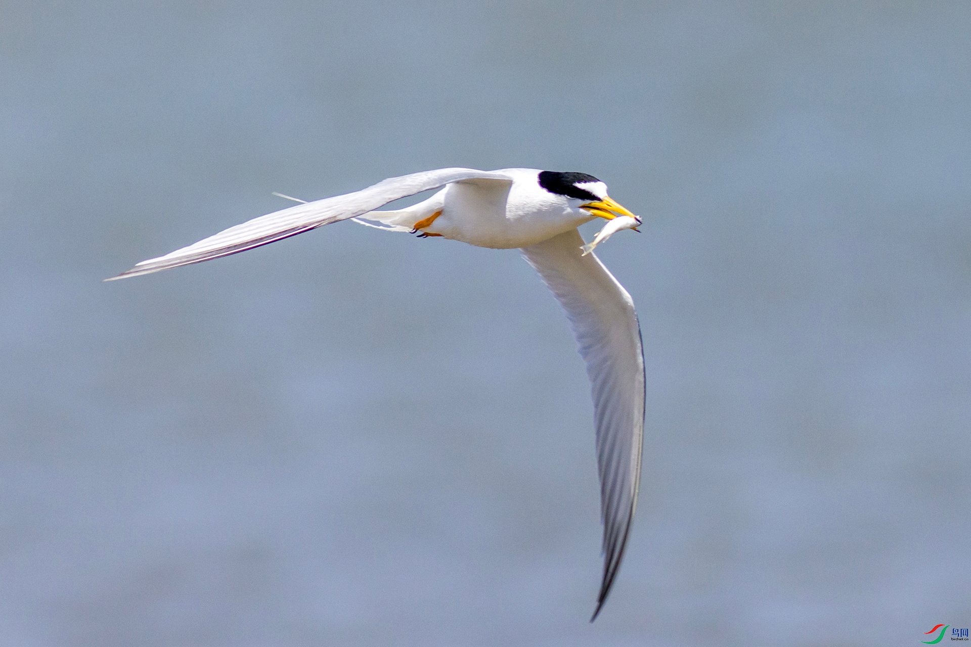 2H6A4577 ����1_����.jpg