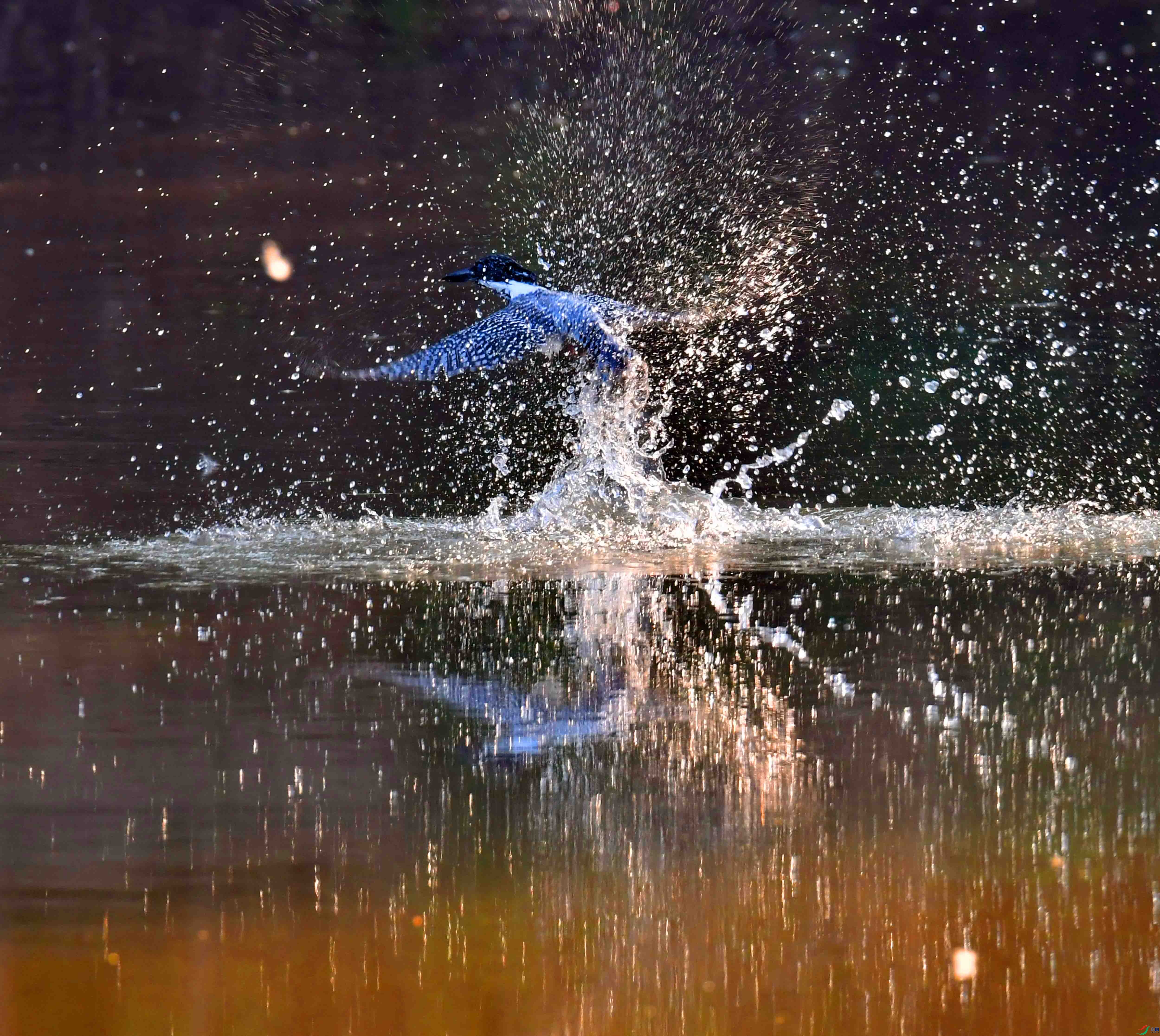 DSC_8367.JPG