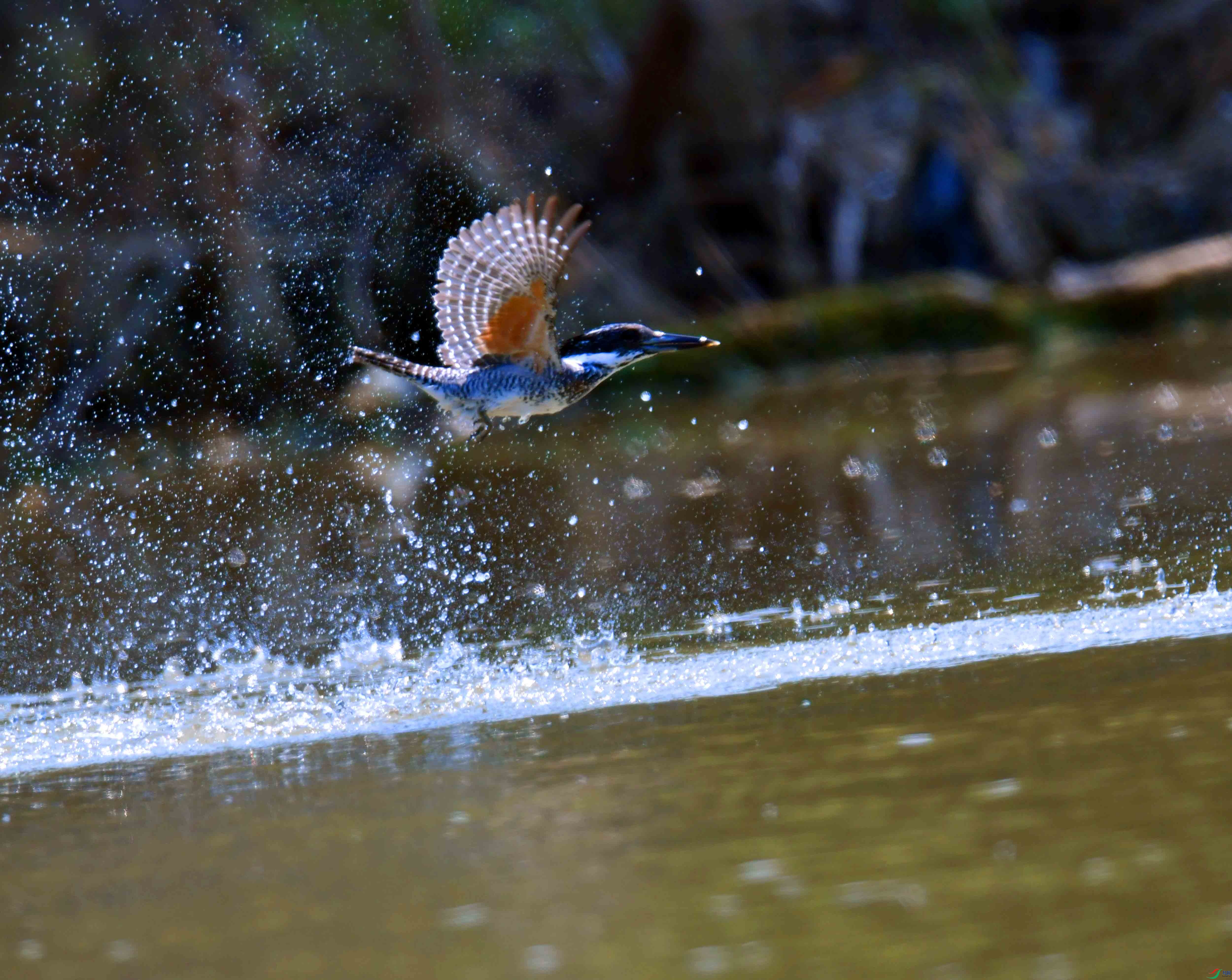 DSC_9615.JPG