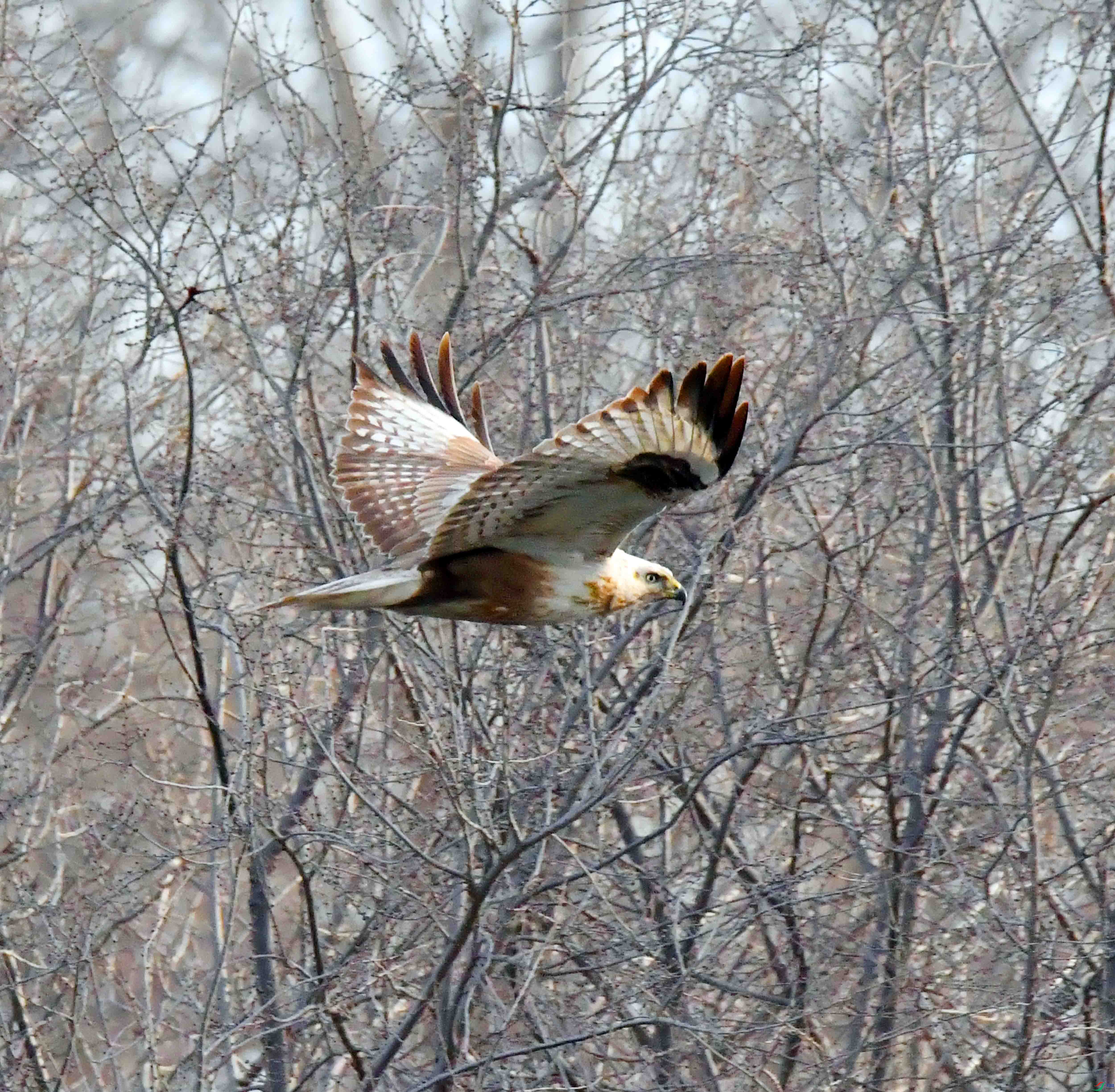 DSC_2108.JPG