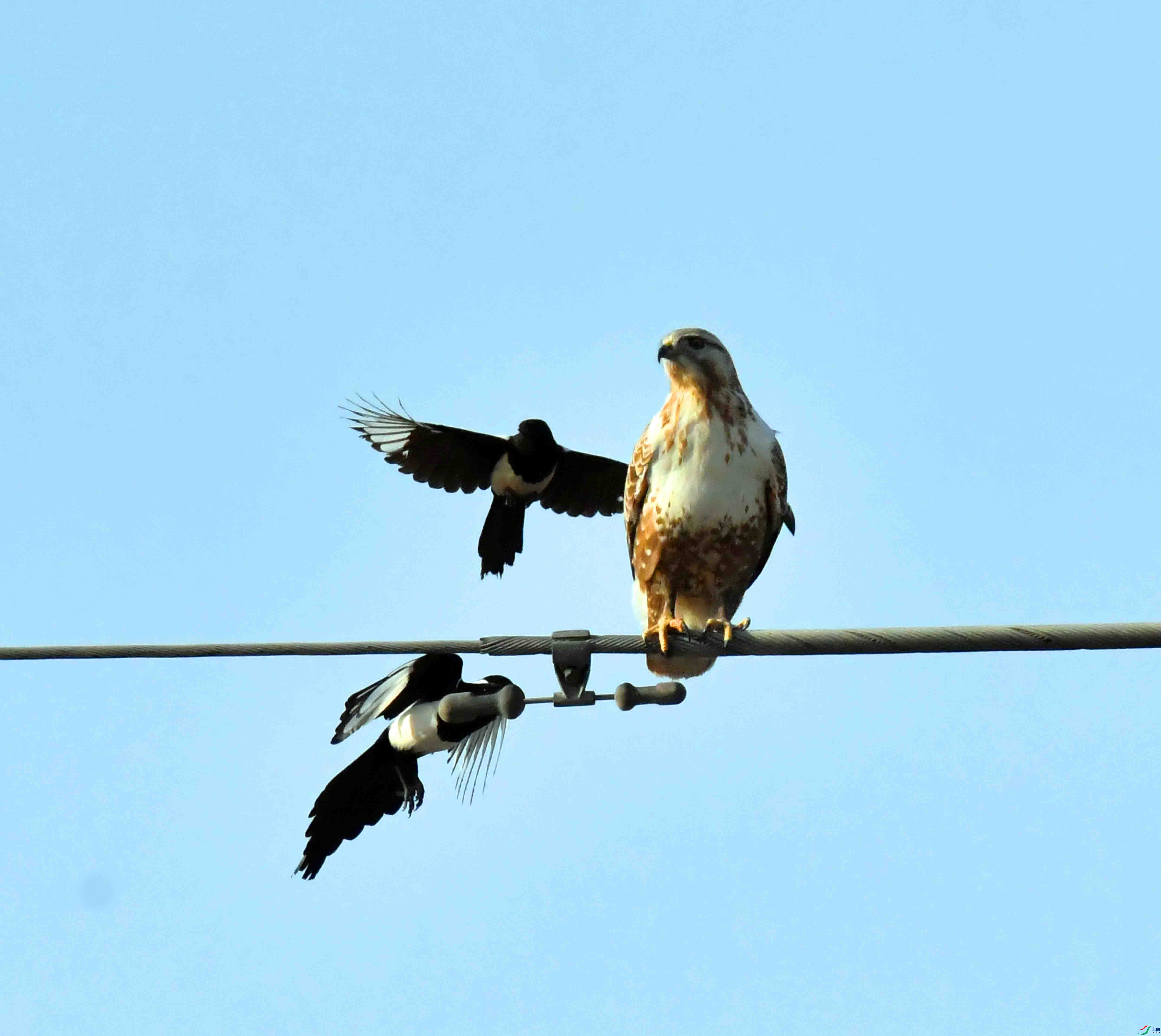 DSC_2418.JPG