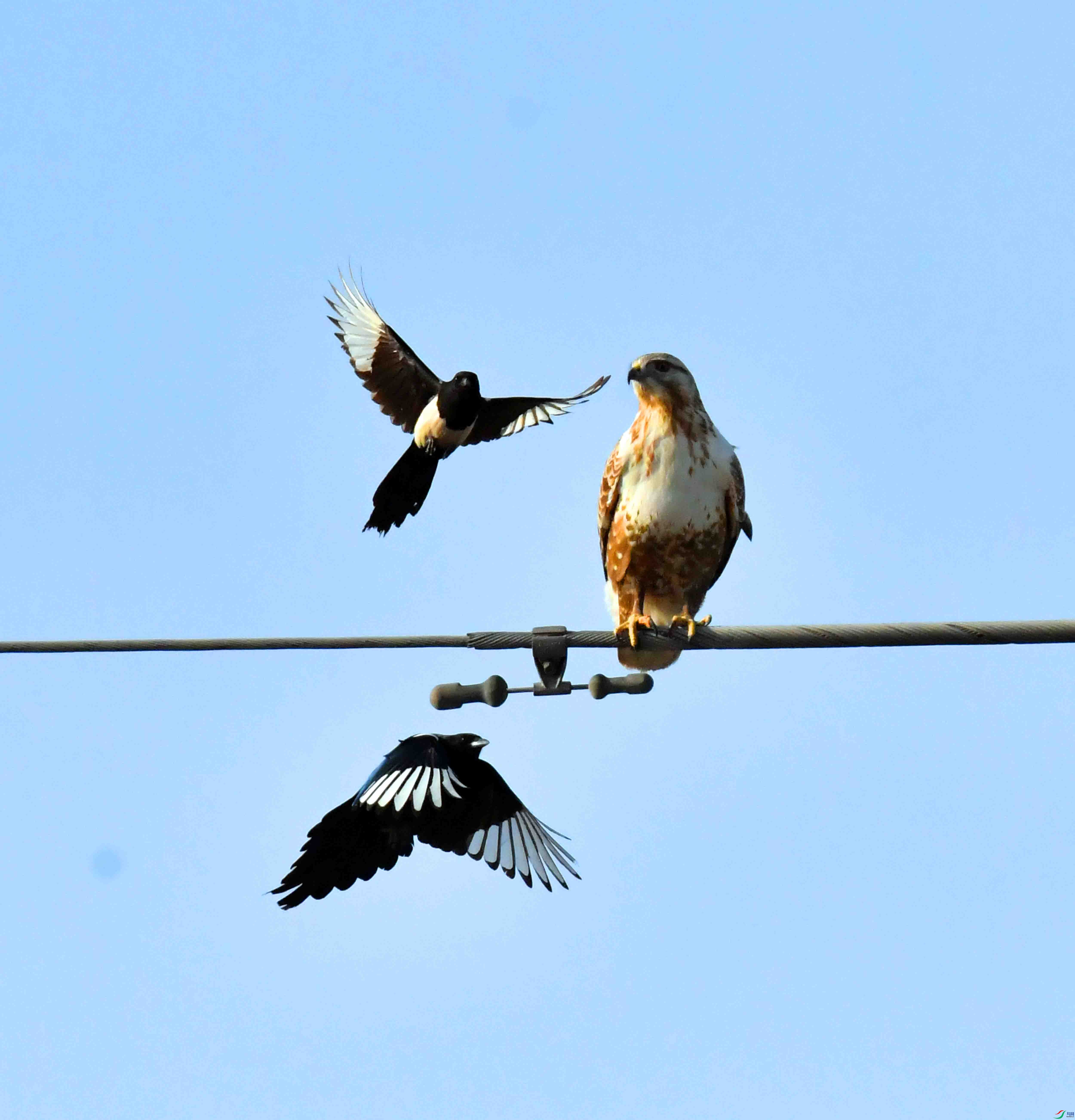 DSC_2419.JPG