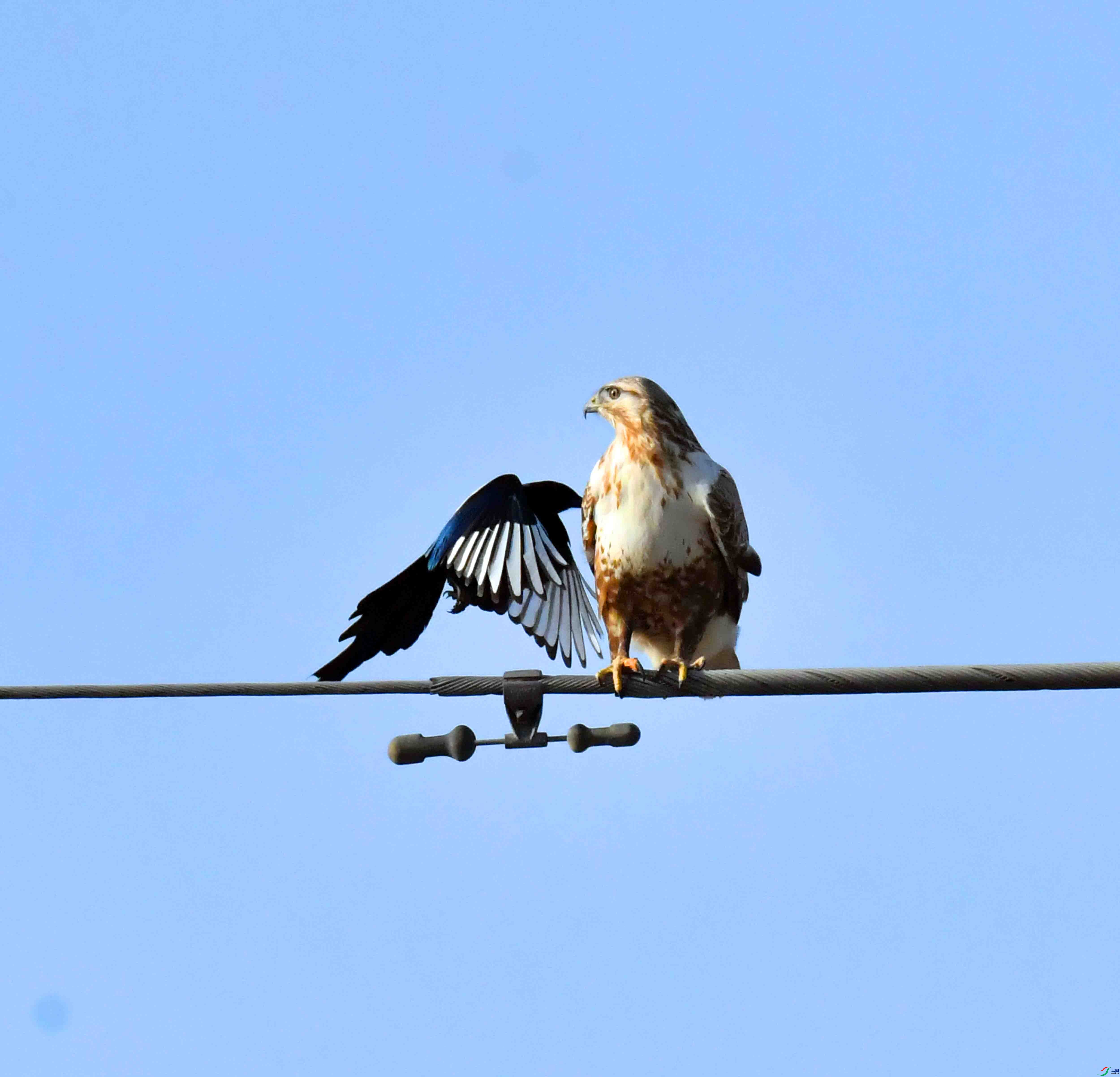 DSC_2426.JPG