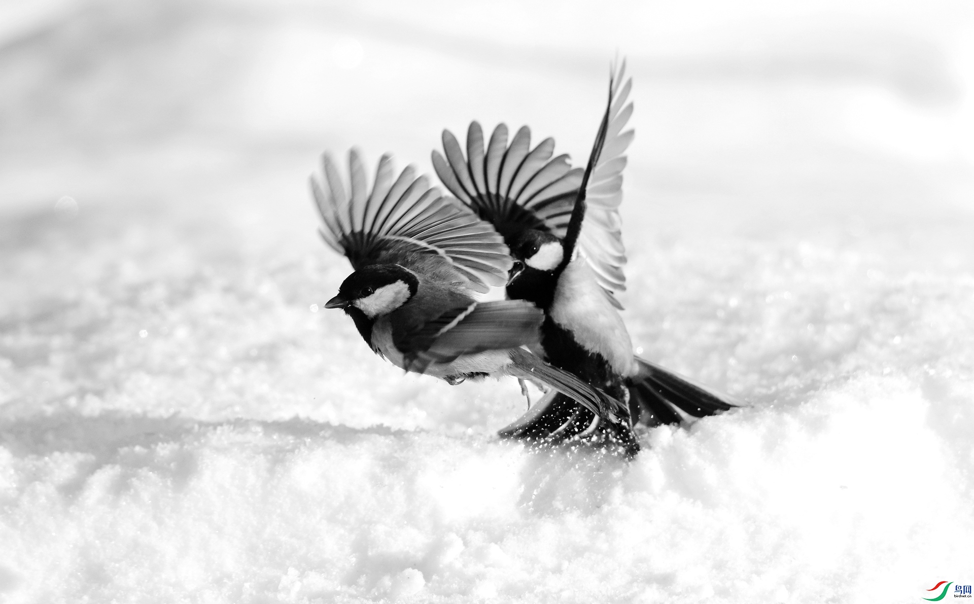 0G1A3967 ����.jpg