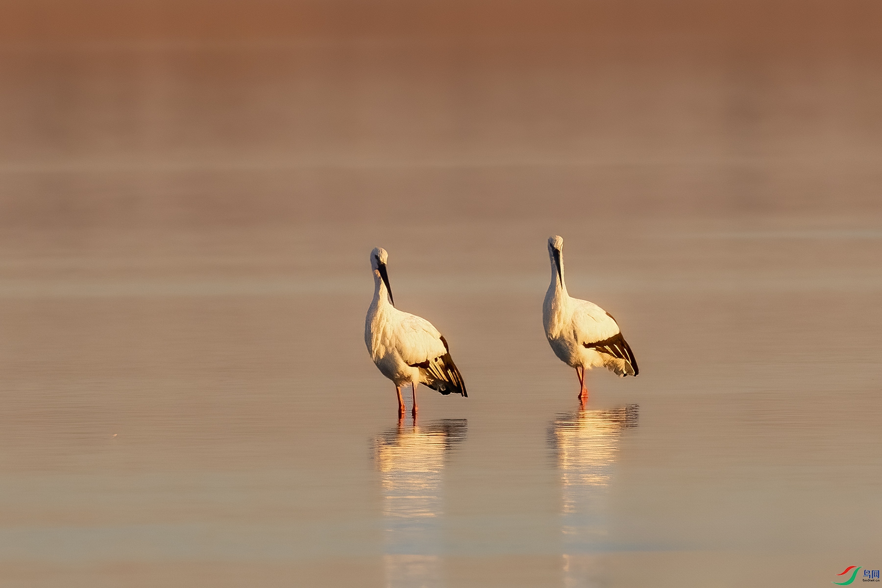 IMG_9996 ����.jpg