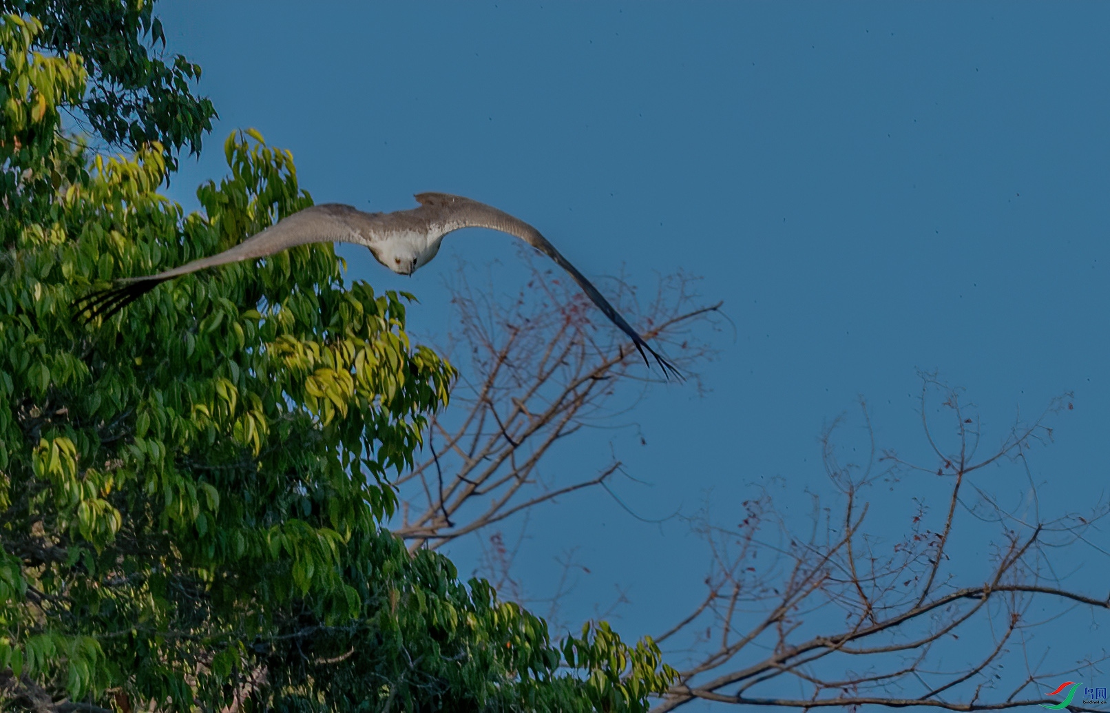 _DSC7163-1.jpg