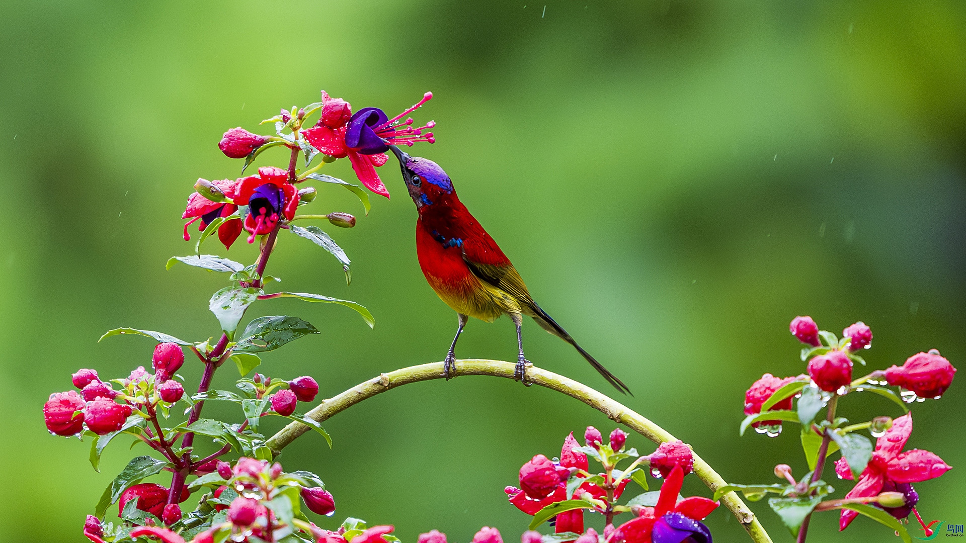 _DSC2146 ���� 2.jpg