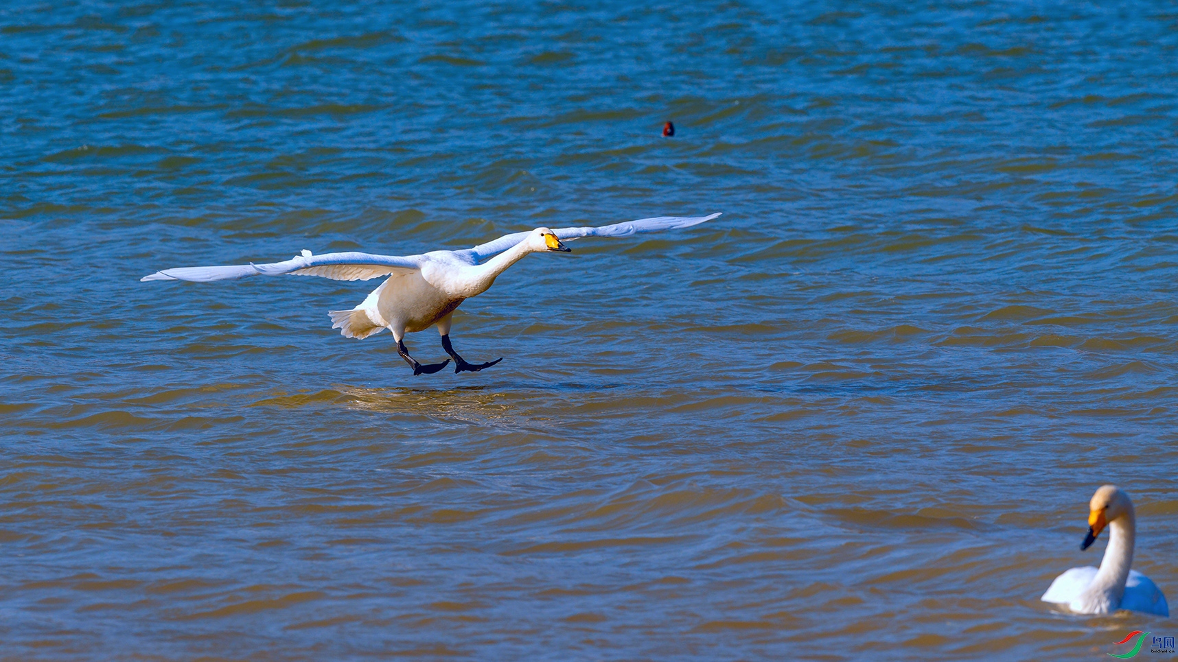 4DSC_4548_DxOa.jpg