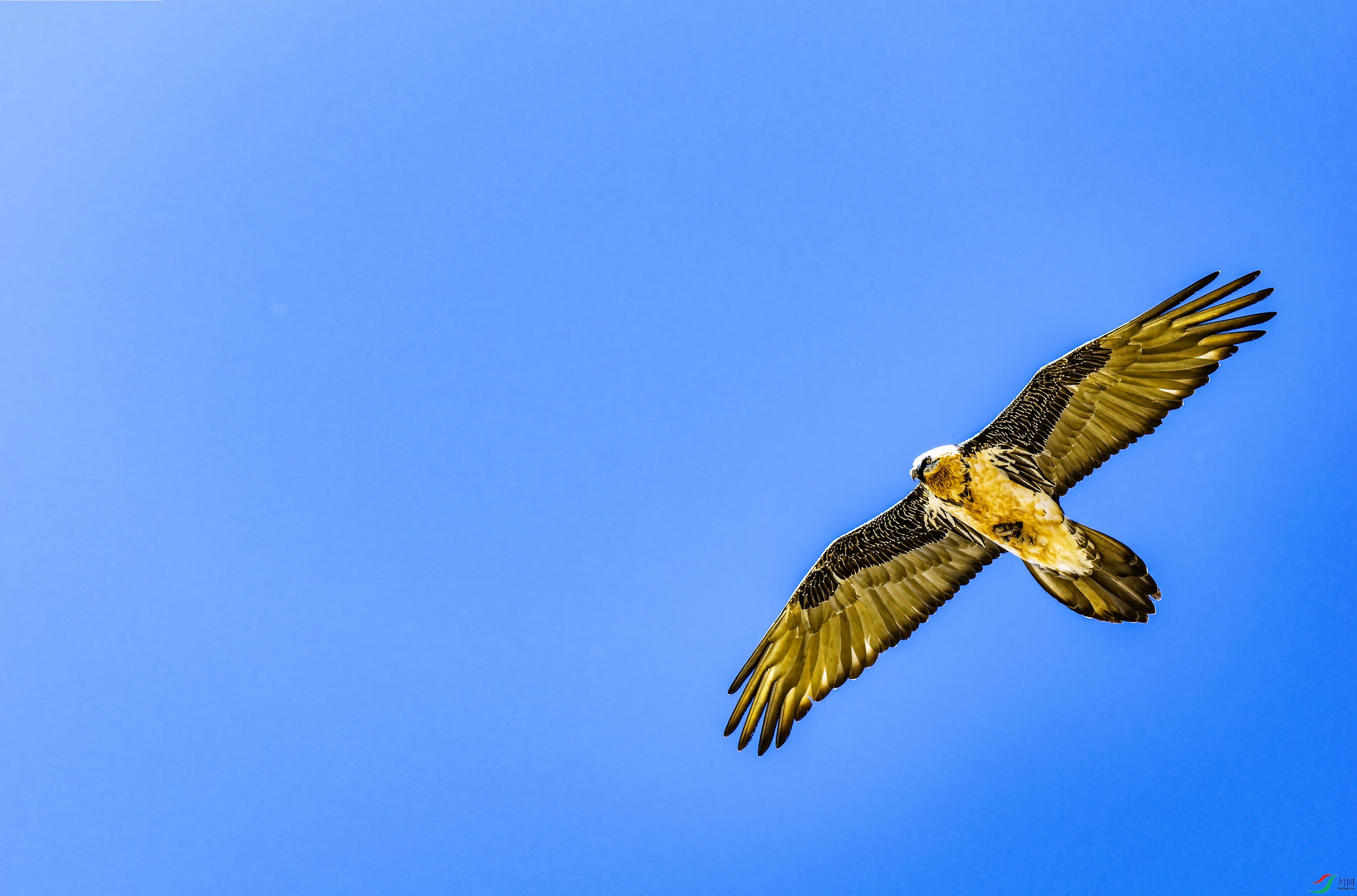 ��أ�� (732)-1.jpg