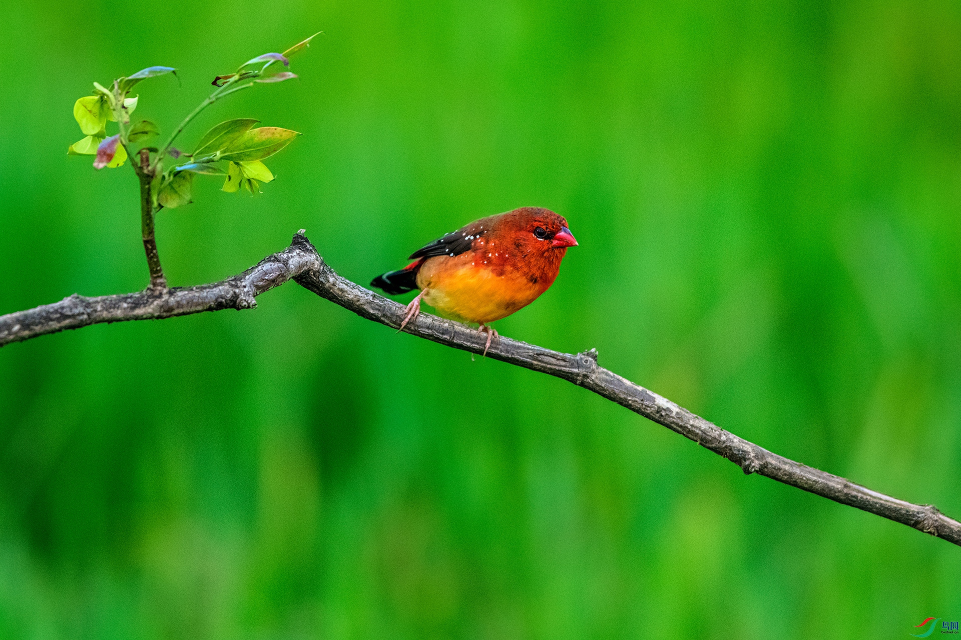 _AUU6578 ��÷��ȸ(25.7.7).jpg