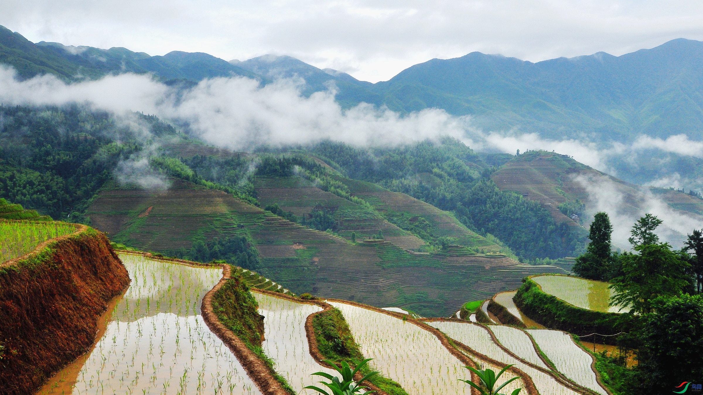 1 273_����.jpg