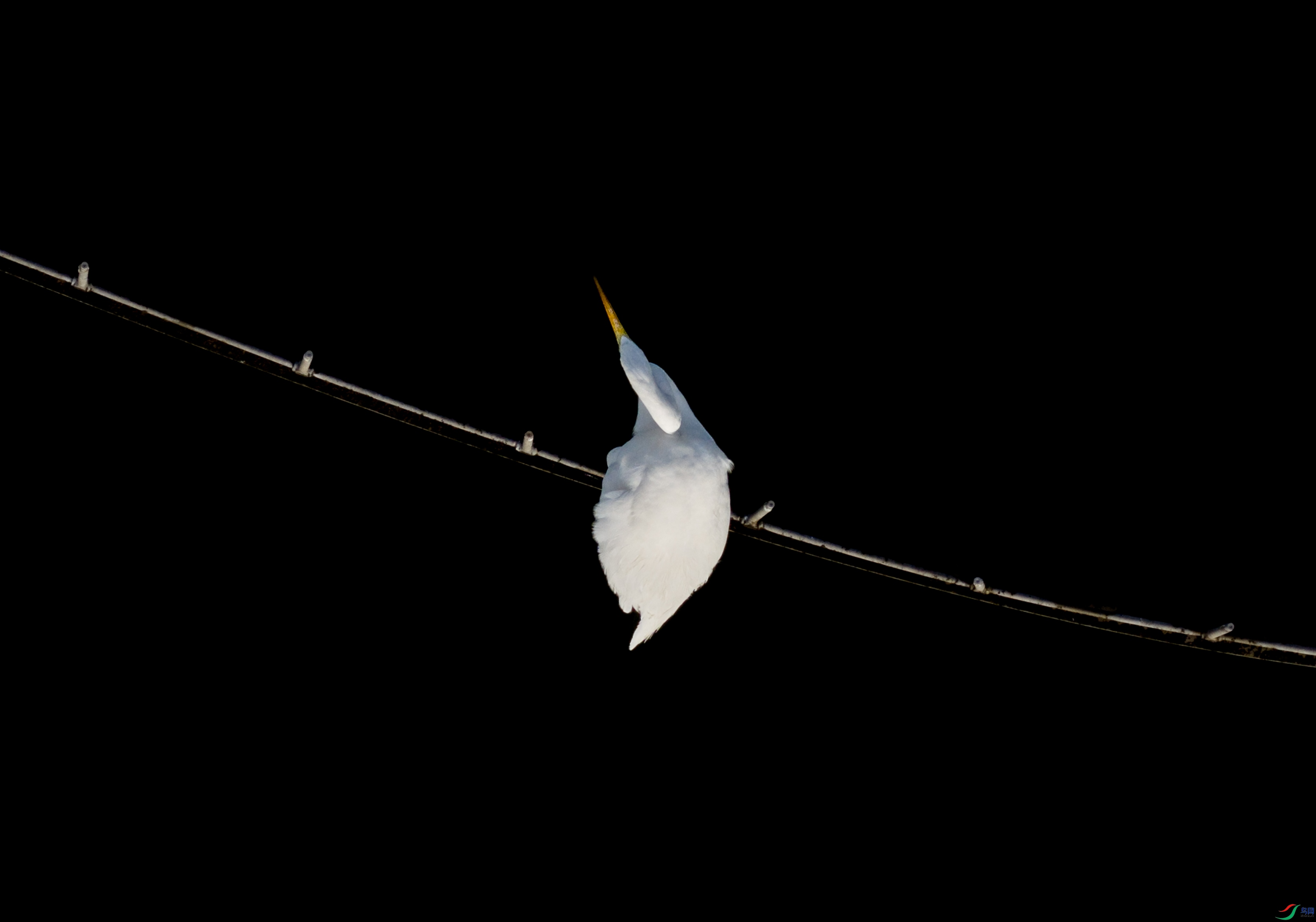 DJI_20251109082730_0112_D ����.jpg