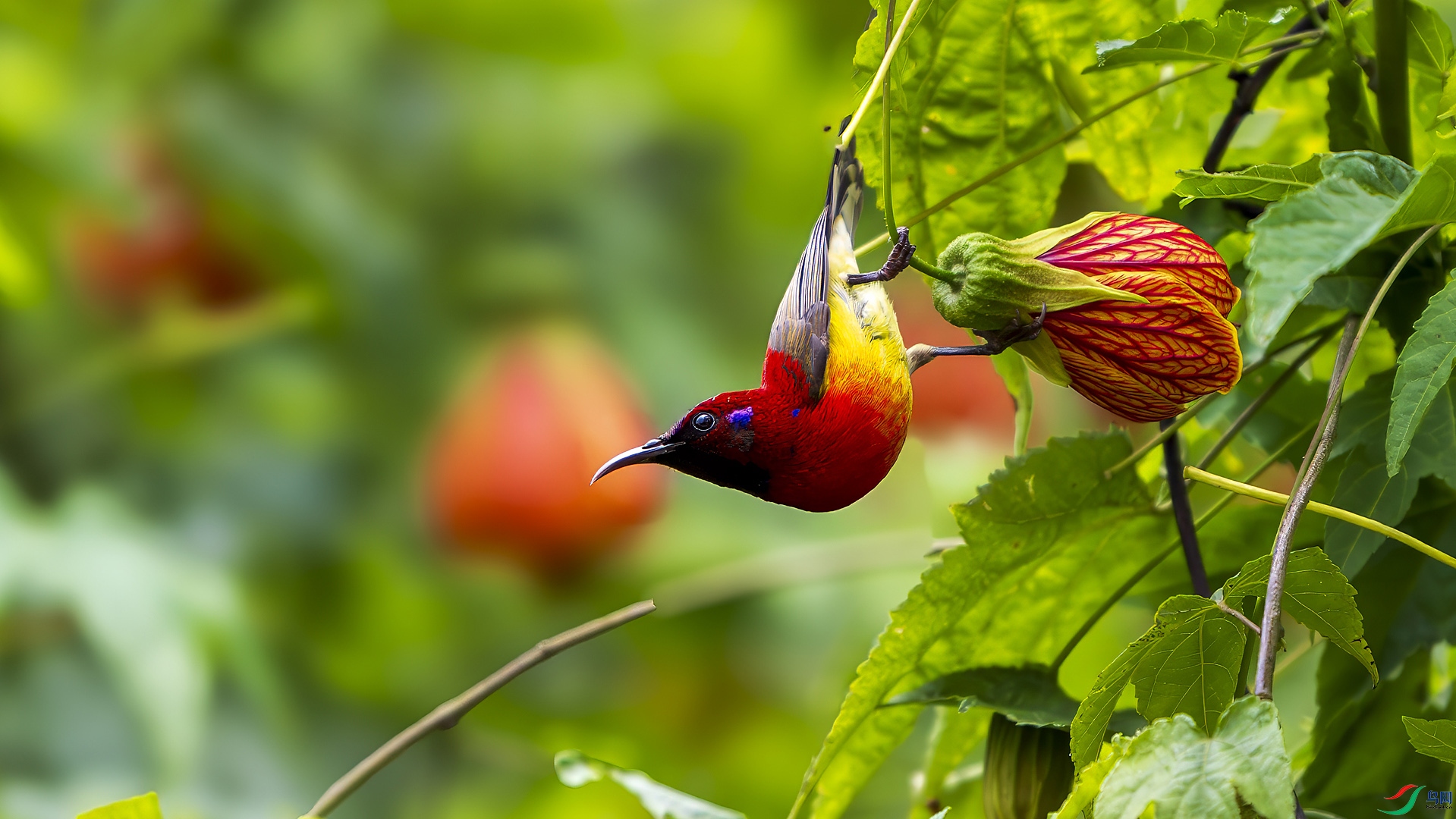 _DSC0292 ���� 2.jpg