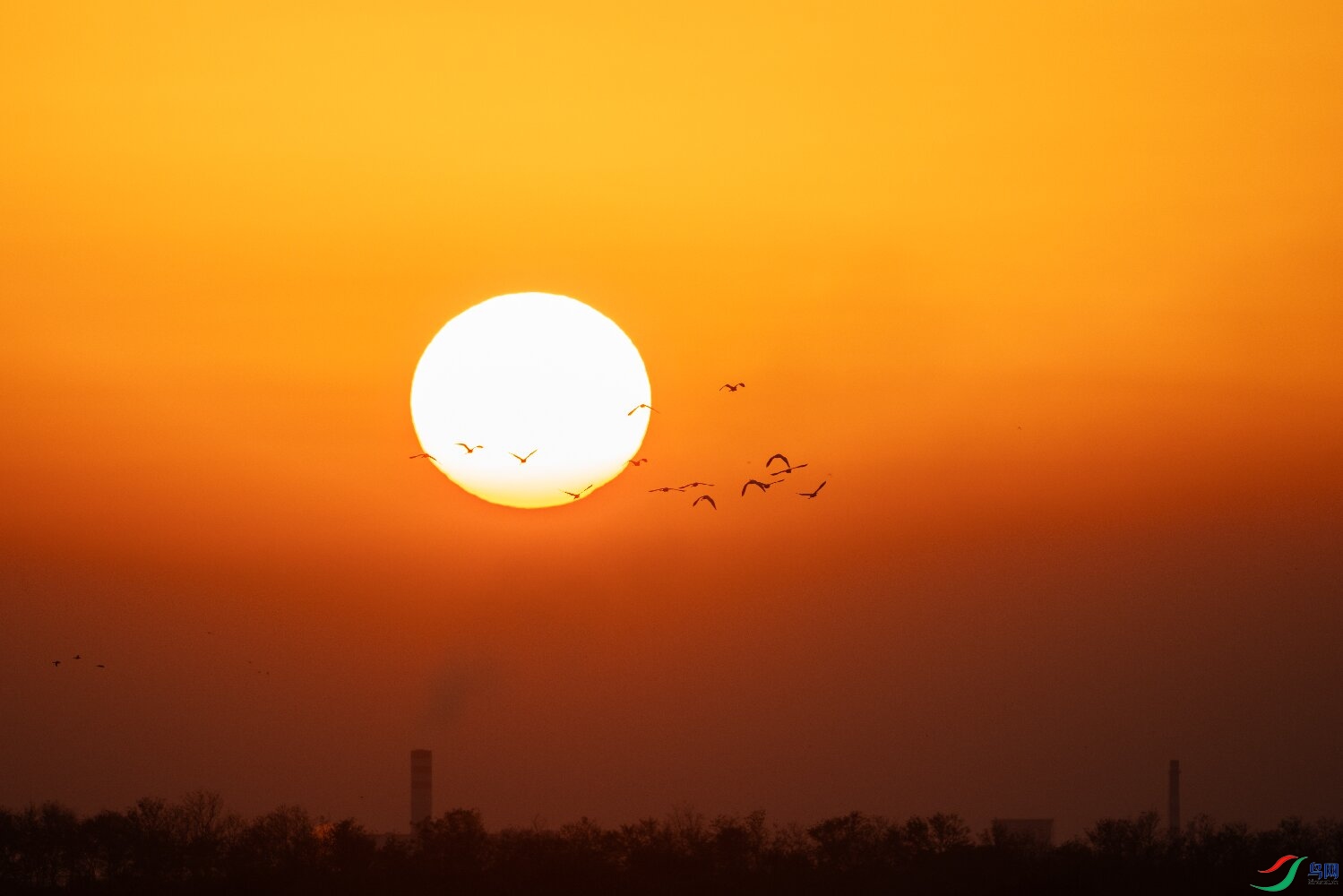 _DSC9645-����ǿ-NR ����.jpg