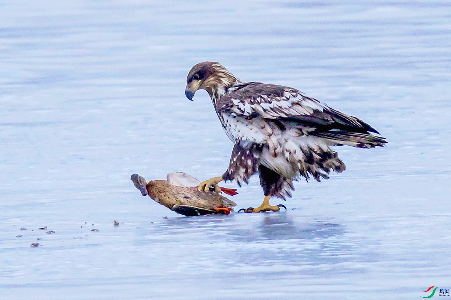 _90I3364 ����.jpg