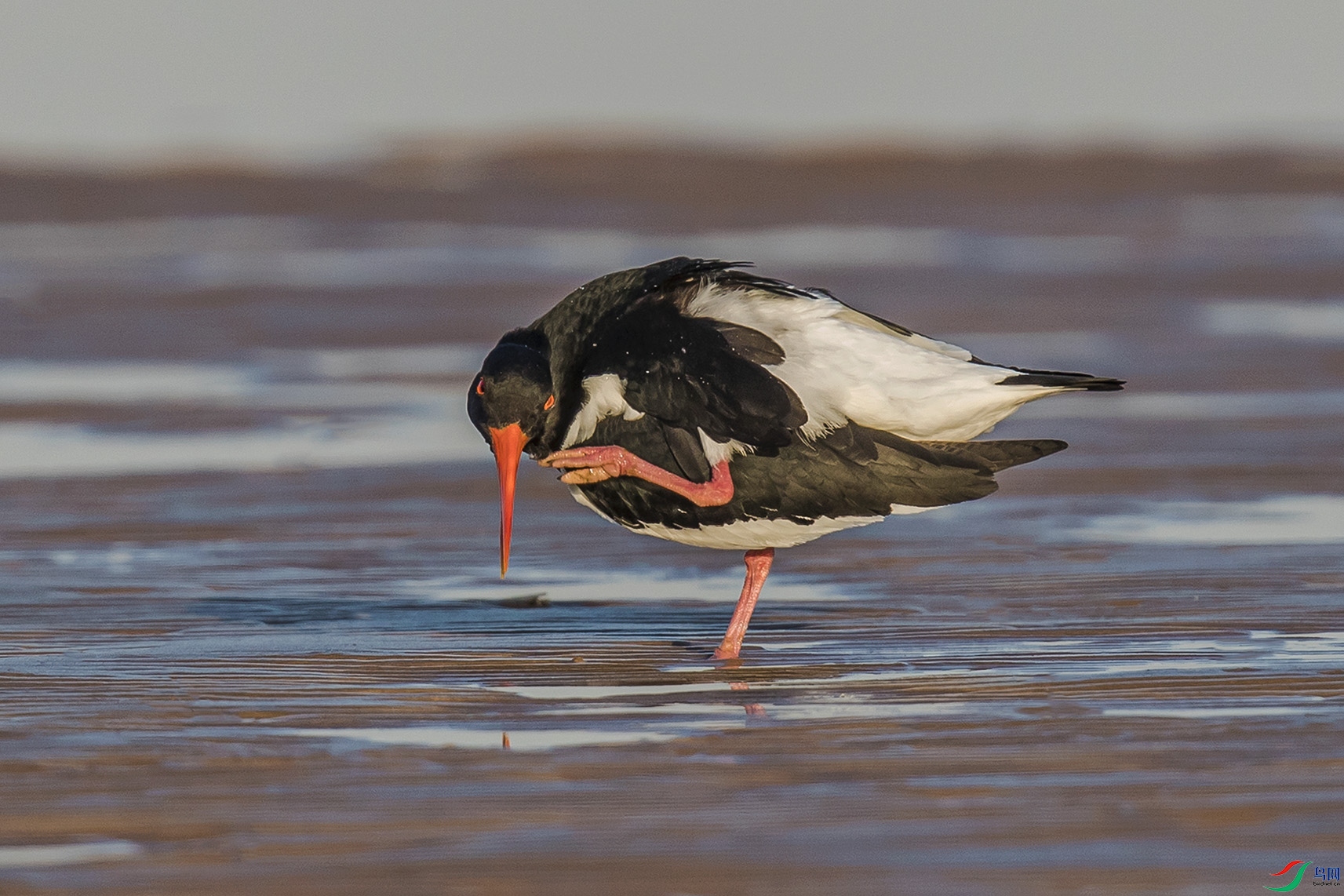 _90I4871 ����.jpg