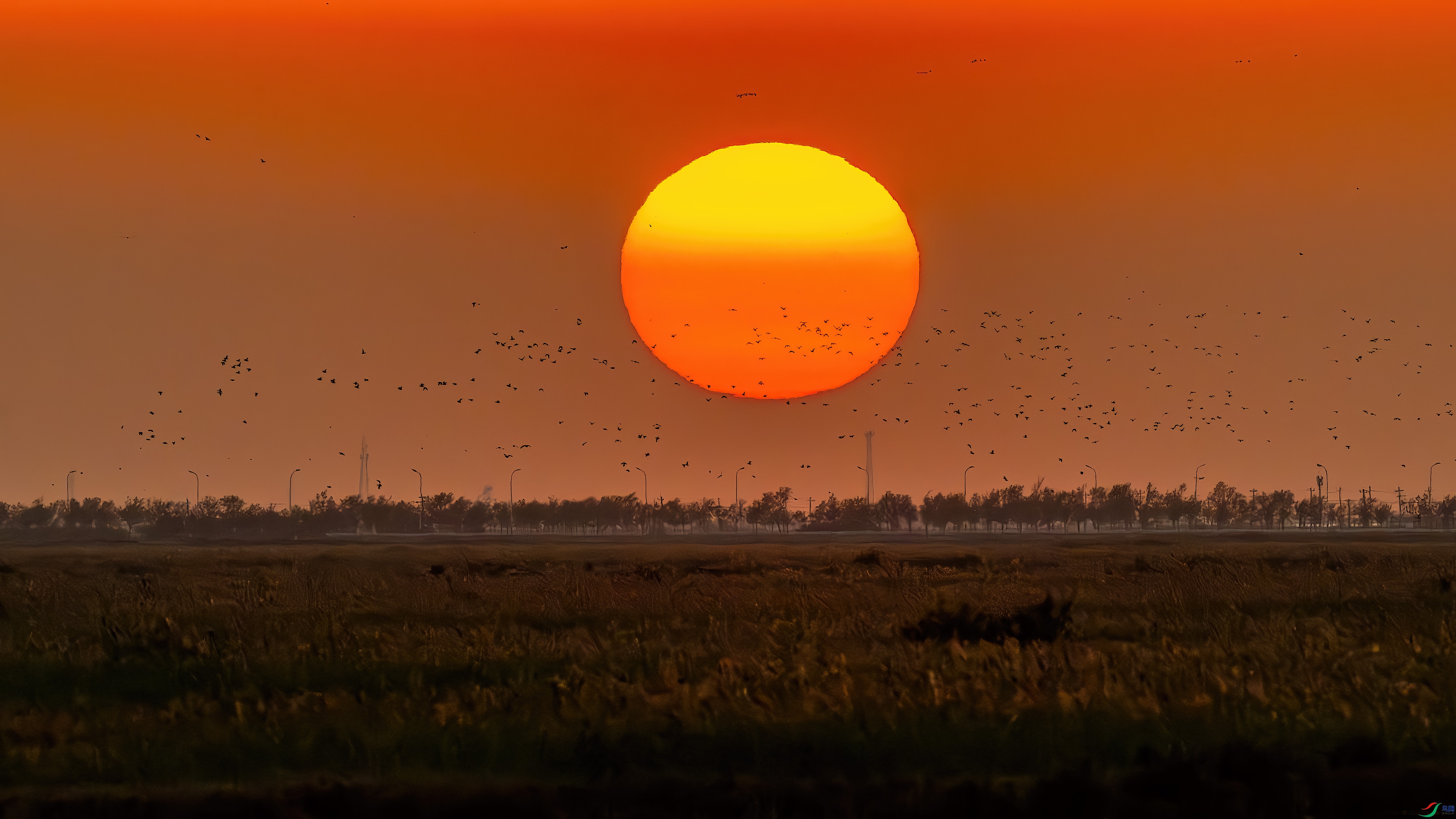 DSC_9514-����ǿ-NR.jpg