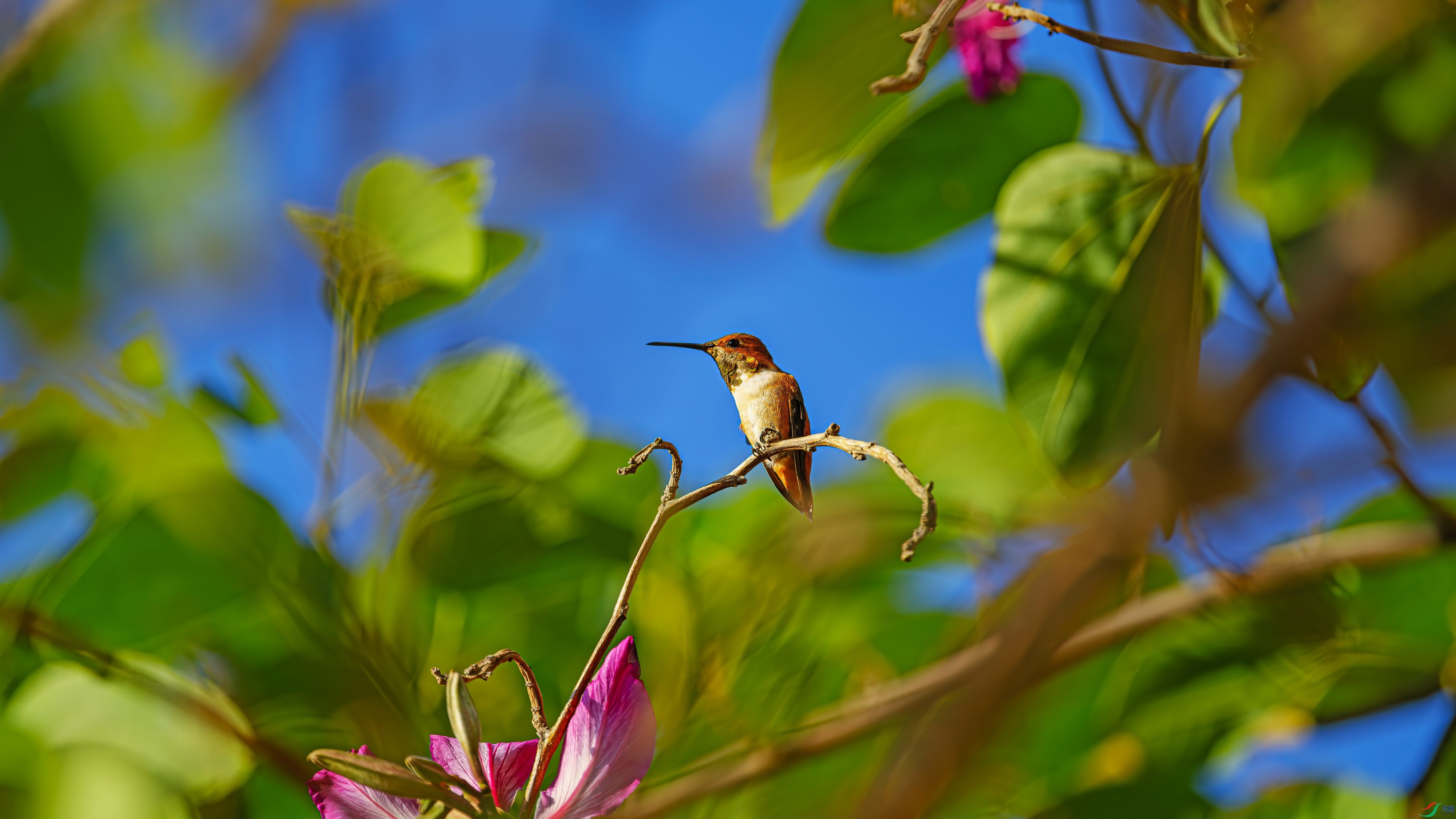 ������Ϣ