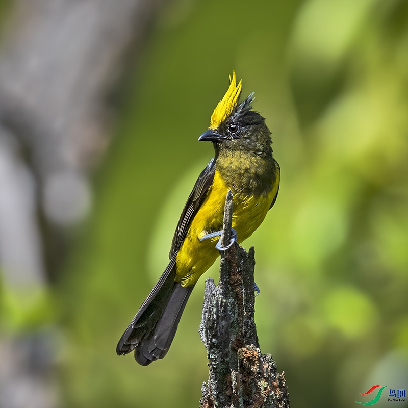 _L4I9973-����ǿ-NR��ȸ-���� ����.jpg